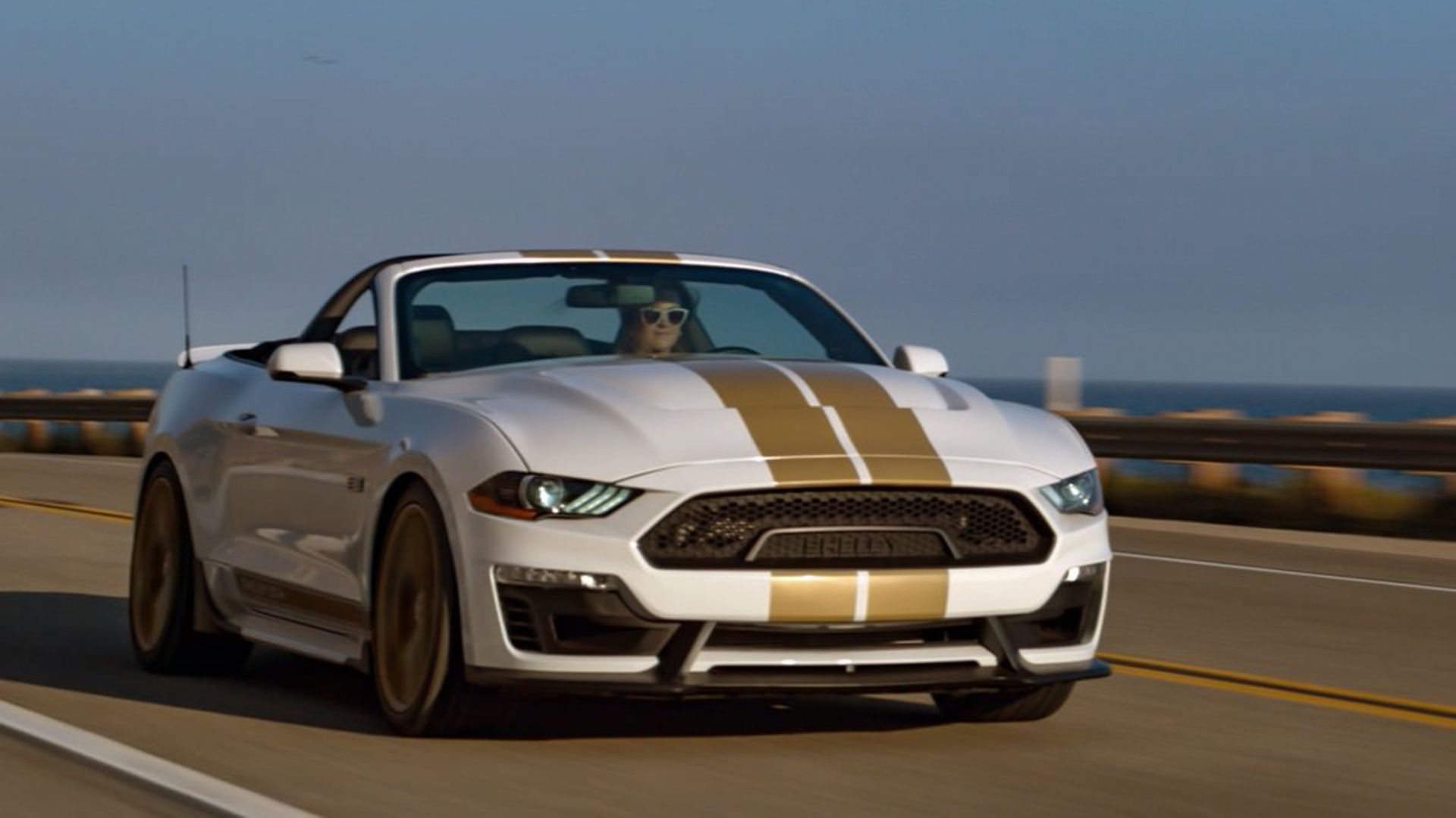 Mustang Shelby GT 2019