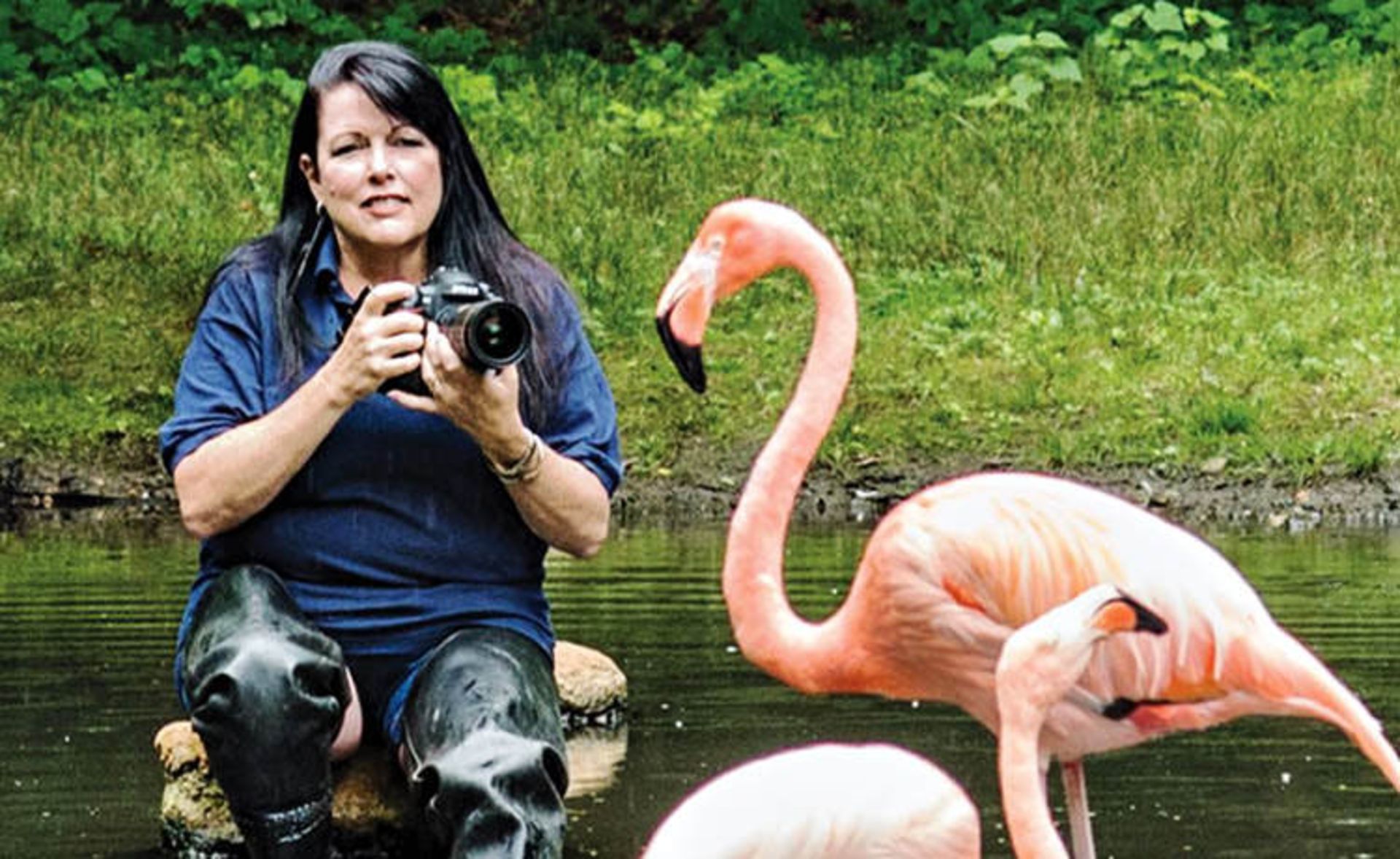 قورباغه‌ها جواهرات زیبای طبیعت