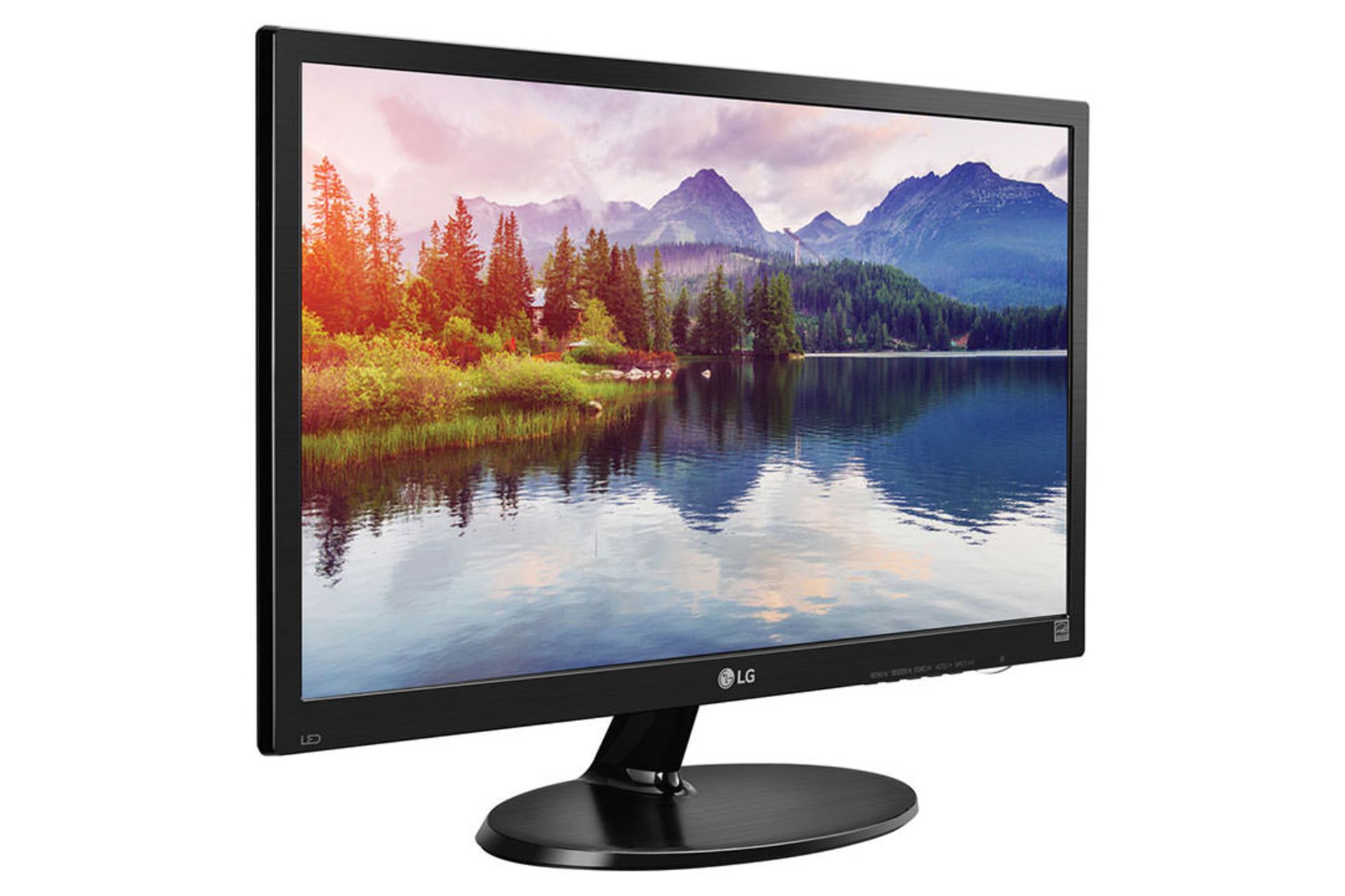 LG 19M38A