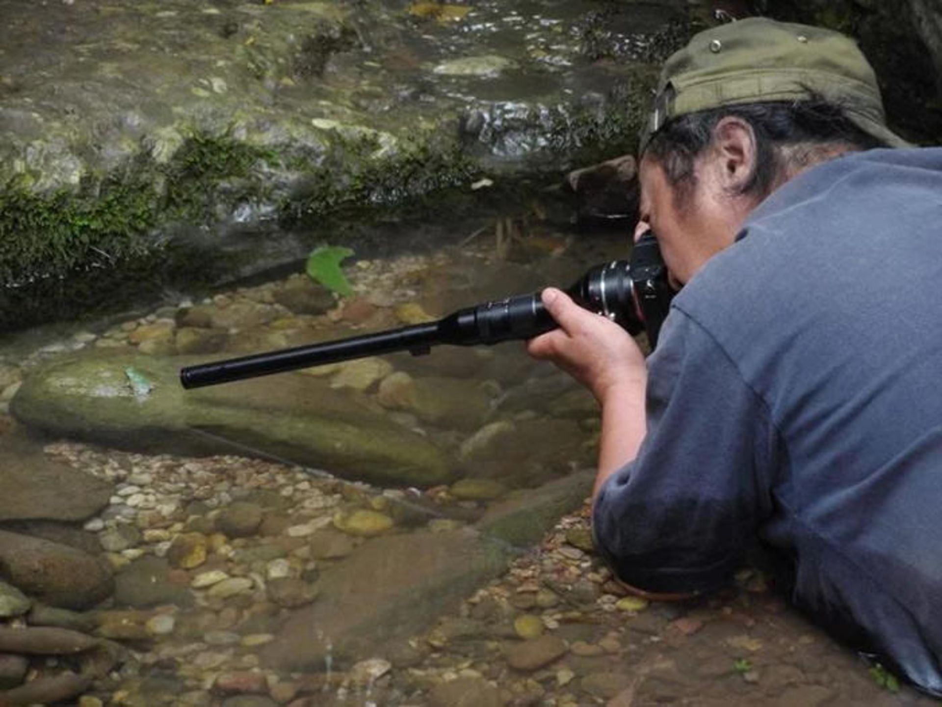 لنز ماکرو ۲۴ میلی‌متری لائوا laowa