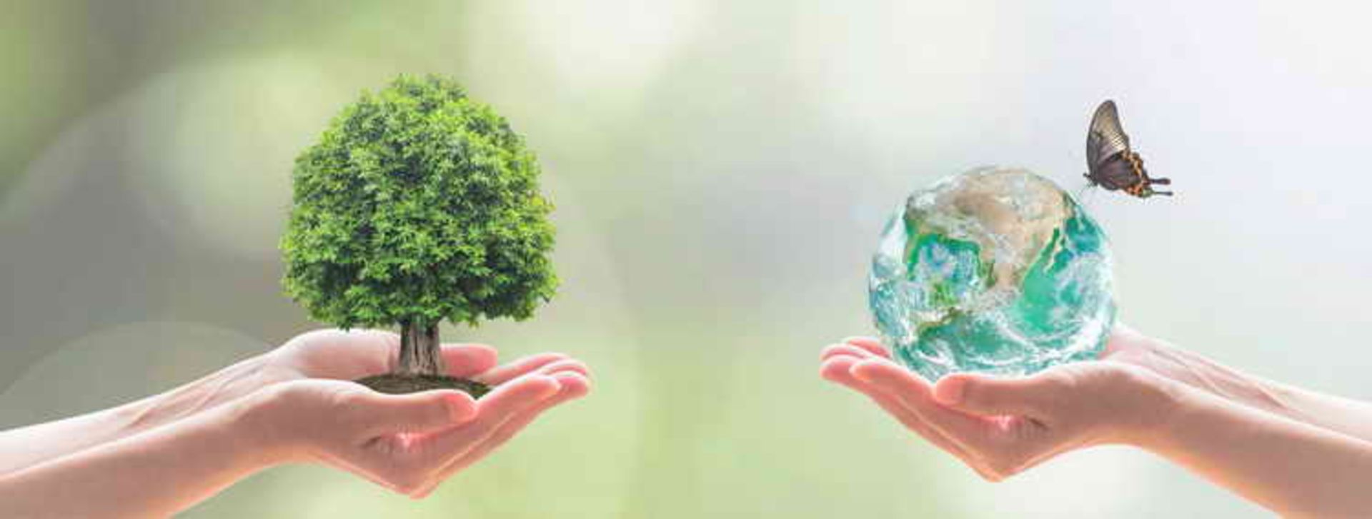 Business Case for CSR