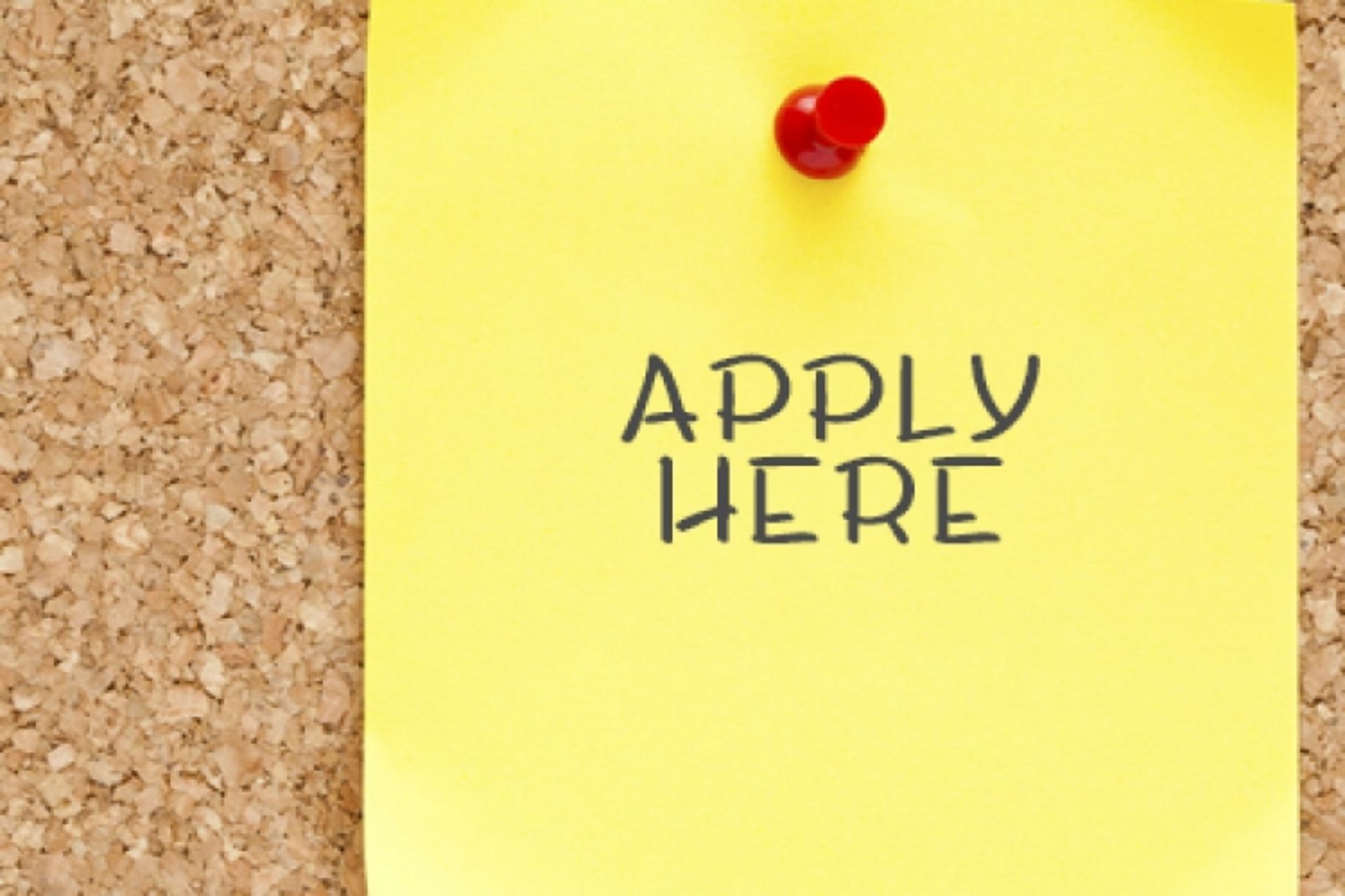 اشتیاق نشان دادن به کار جدید