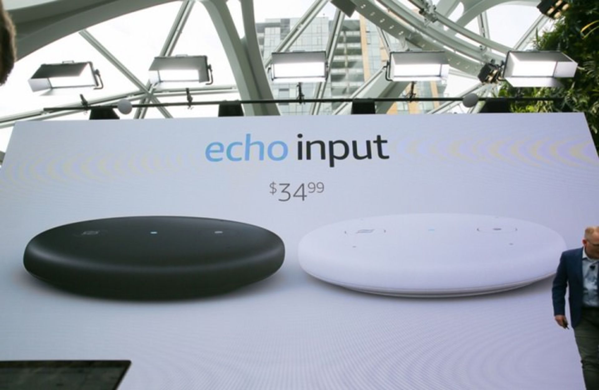 Echo Input