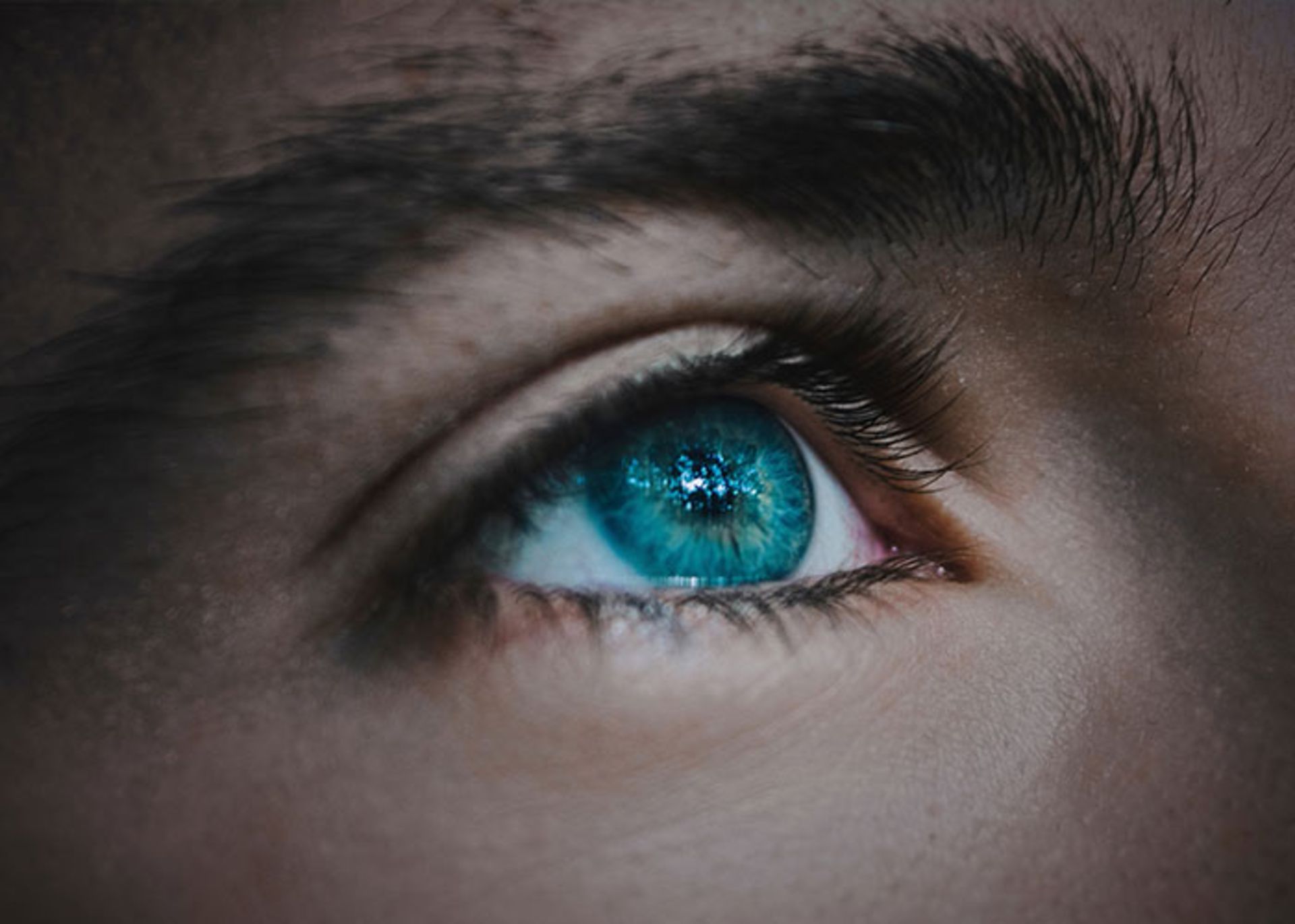 ماکرو(MACROPIC)