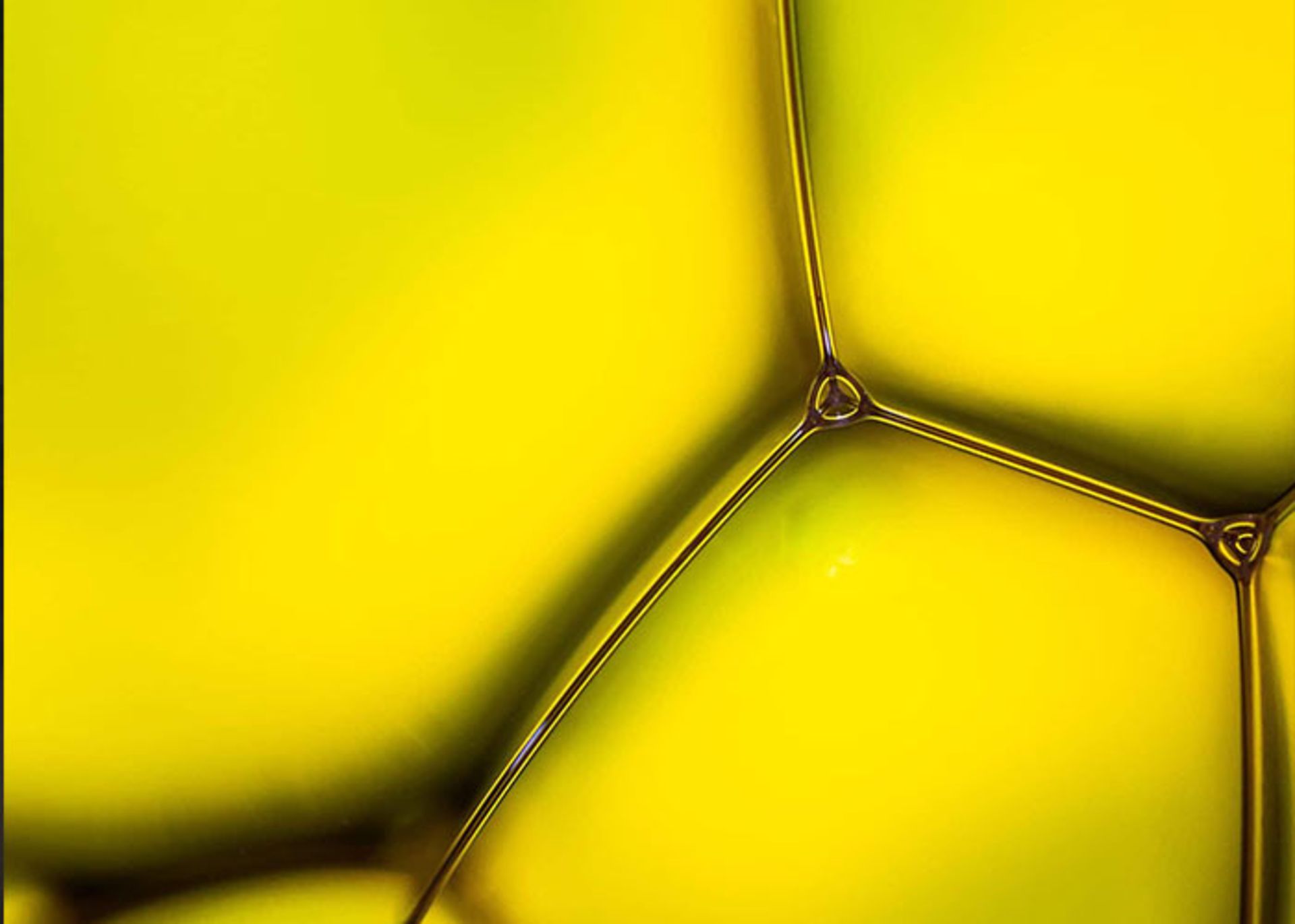 ماکرو(MACROPIC)