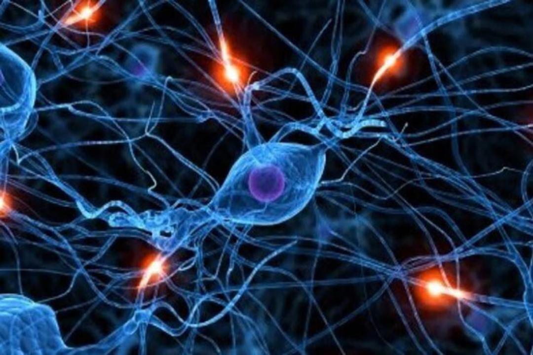 دفتر کار باز هورمون‌های خطرناکی را تحریک می‌کنند