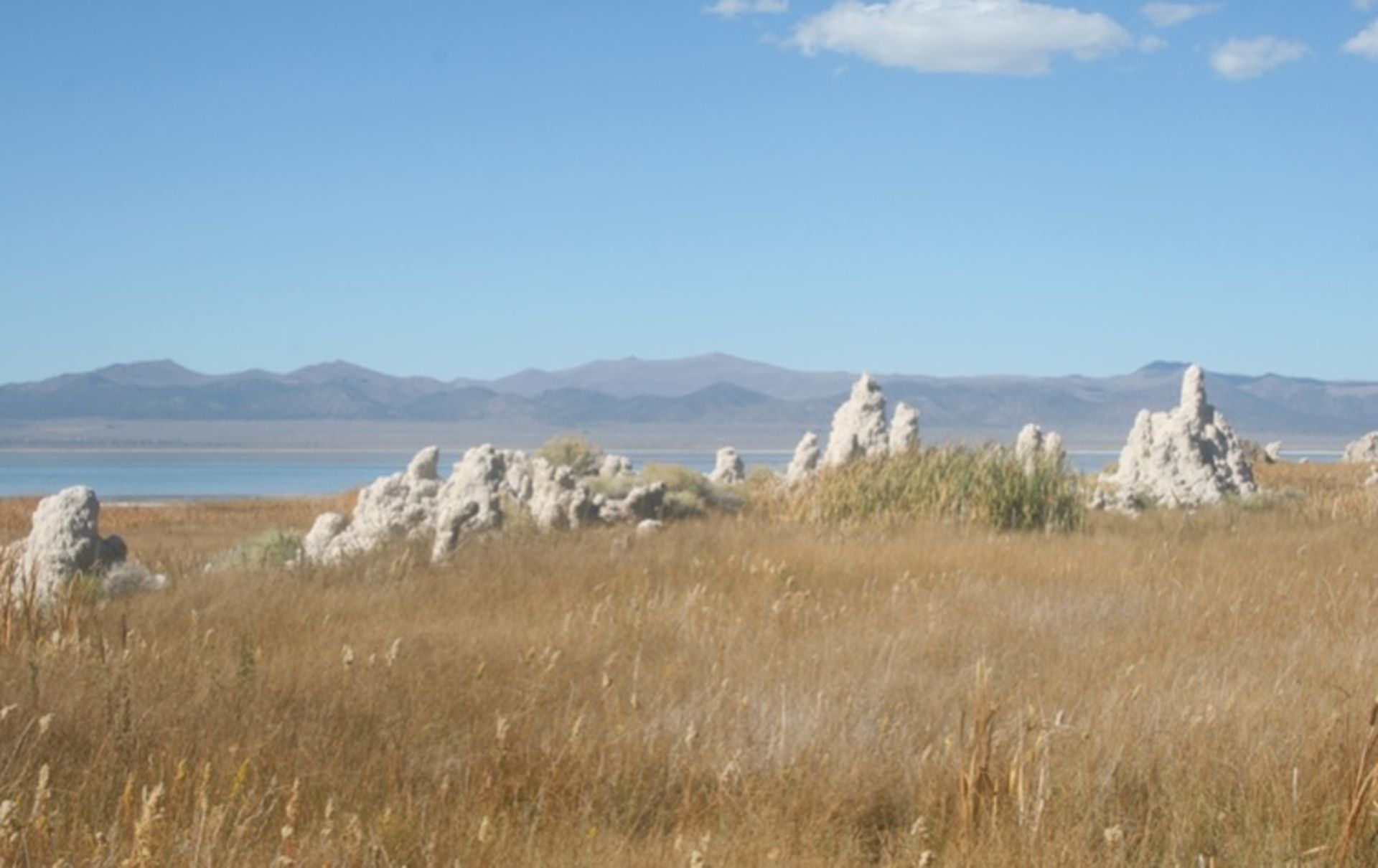 مونو لینک کالیفرنیا