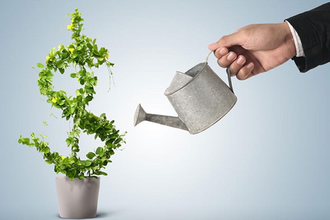 profitability/سودآوری
