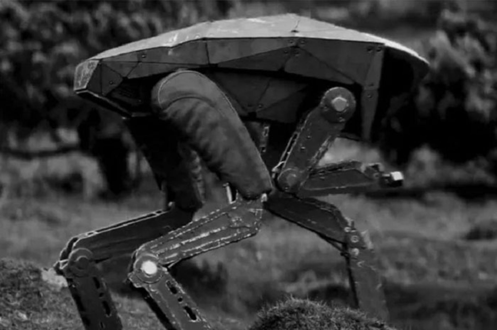 black mirror / آینه سیاه