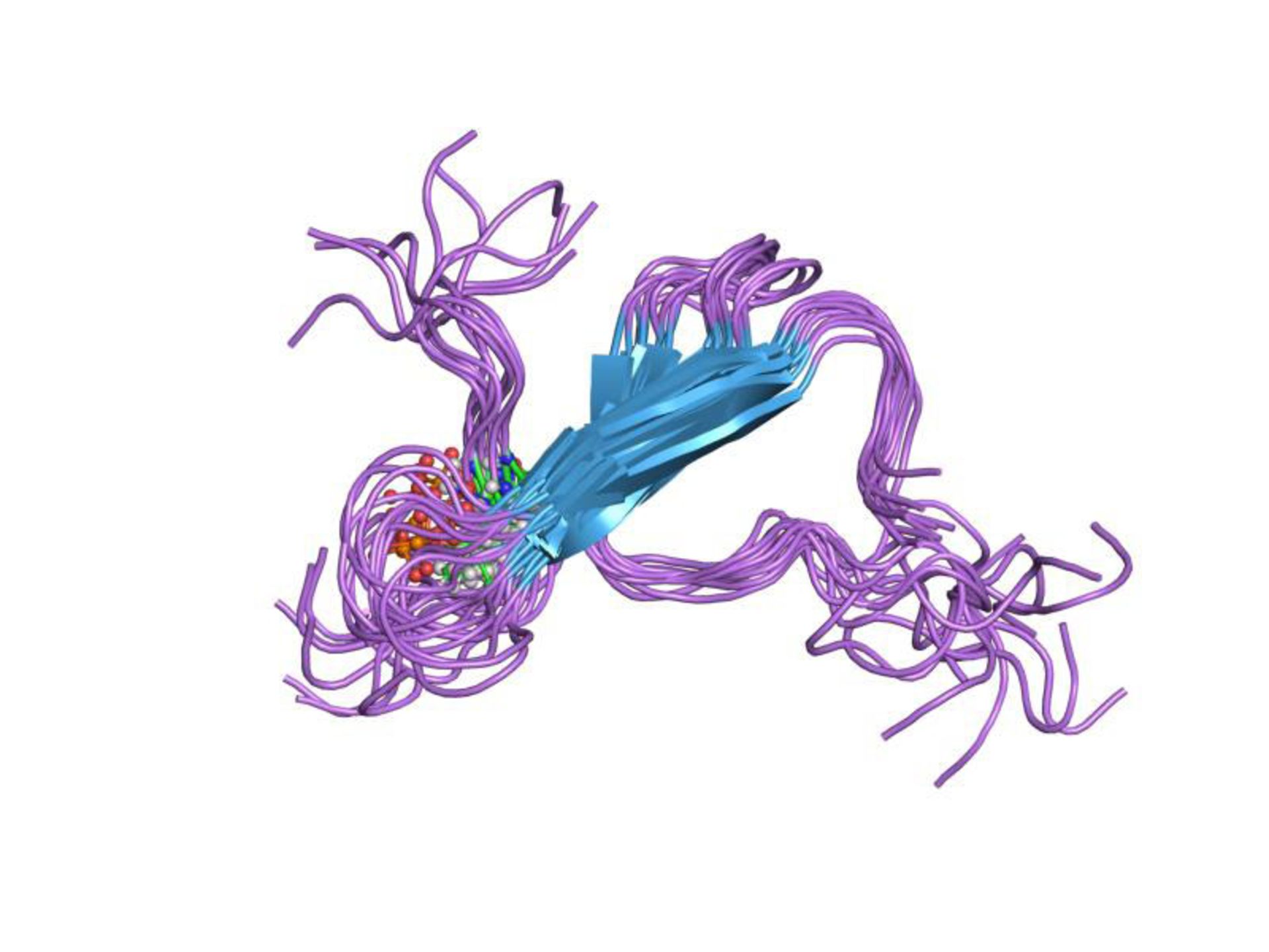 ساختار سه بعدی پروتئین تائو / tau protein