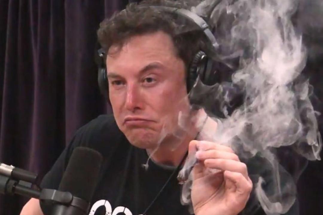 ایلان ماسک / Elon Musk
