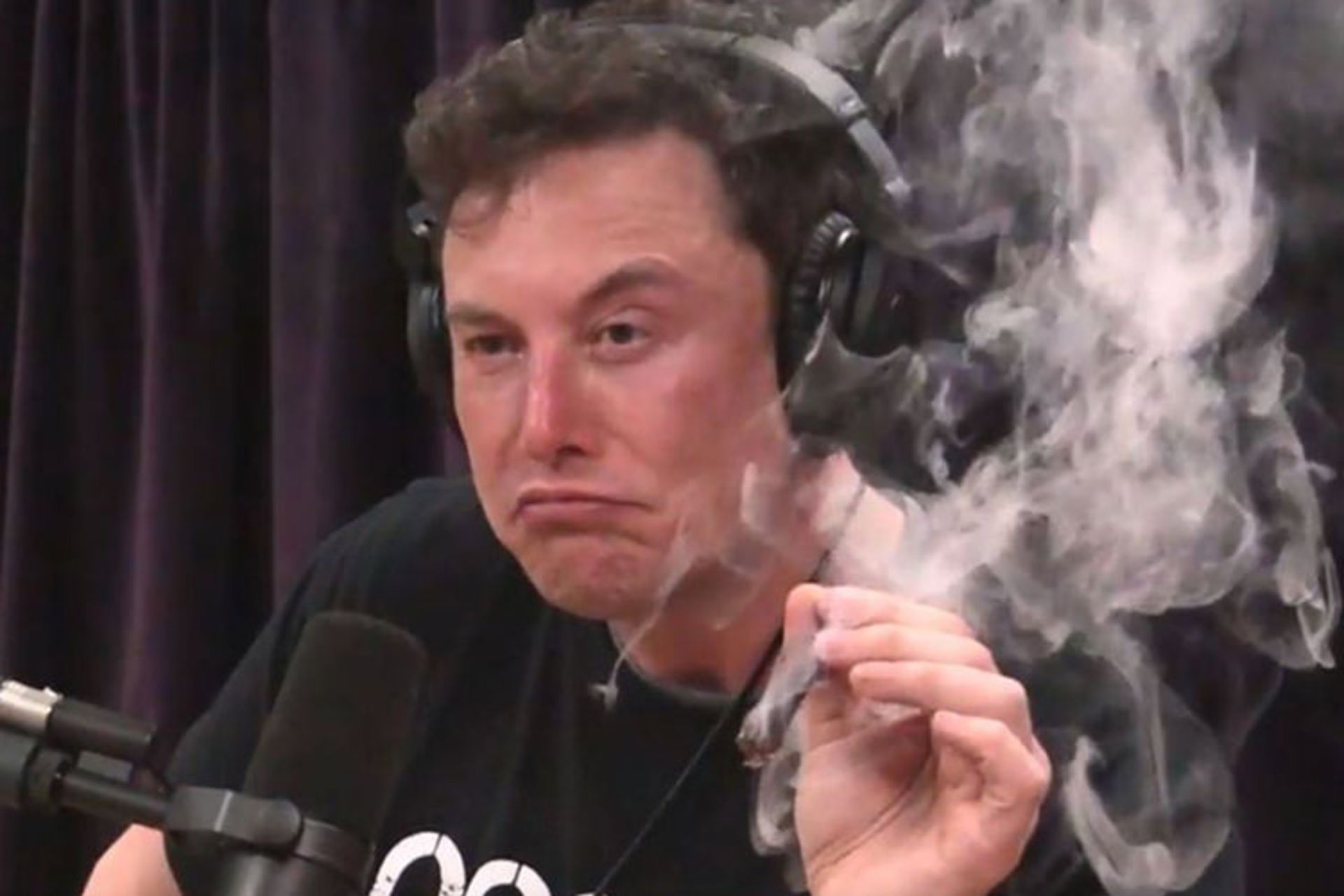 ایلان ماسک / Elon Musk