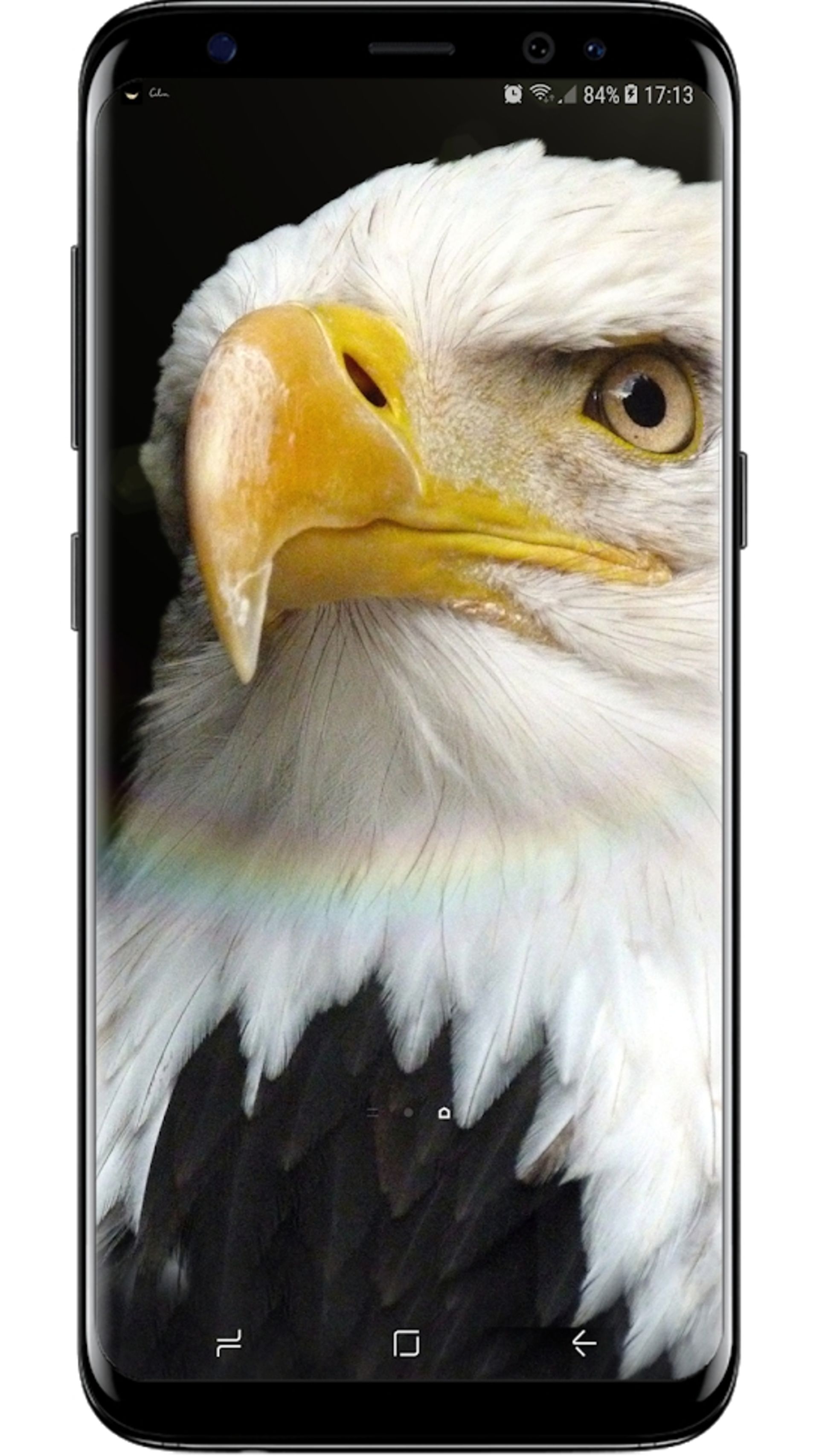 زوم اپ / 4D Live Wallpaper