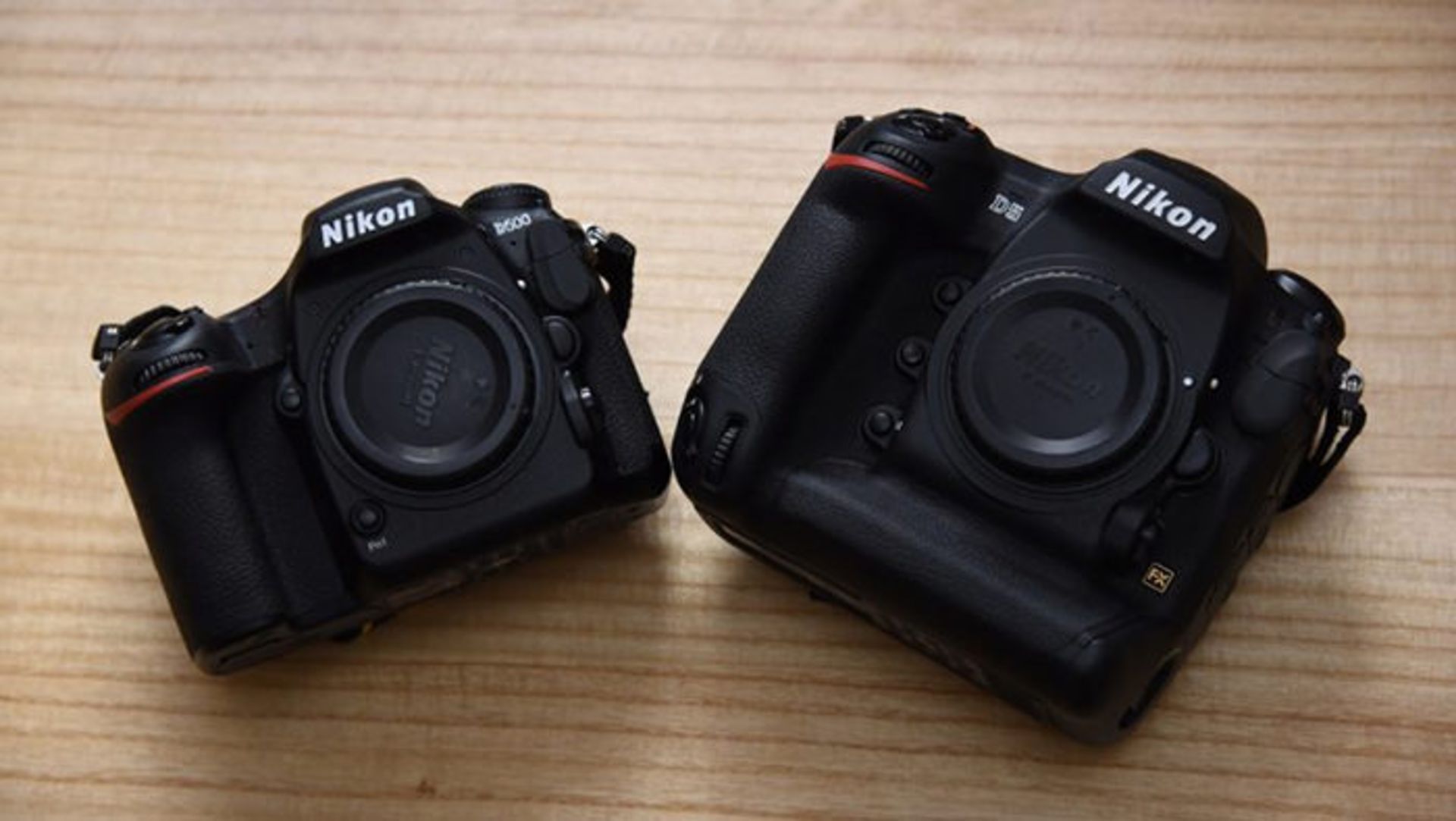 nikon d5 vs d500 نیکون