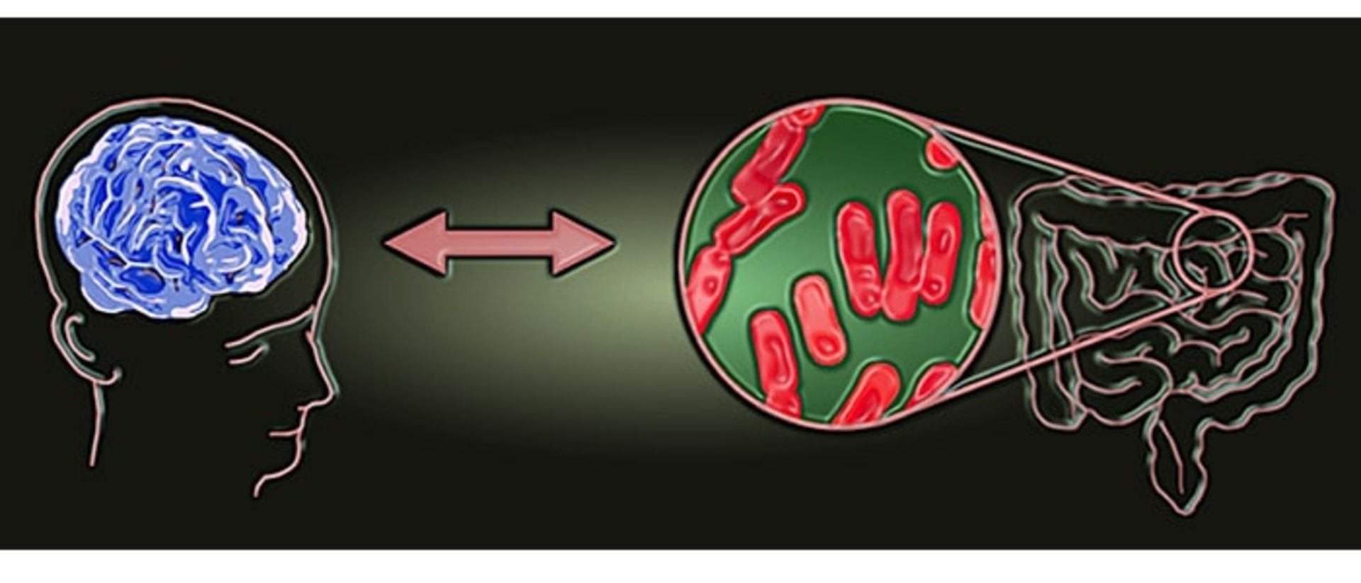 مغز و میکروبیوم