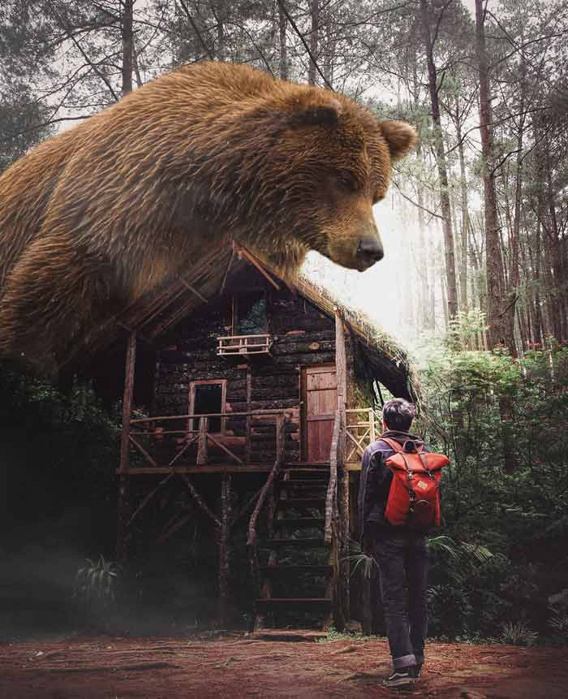 تصاویر خیال انگیز مرات آکیول، عکاس جوان ترک