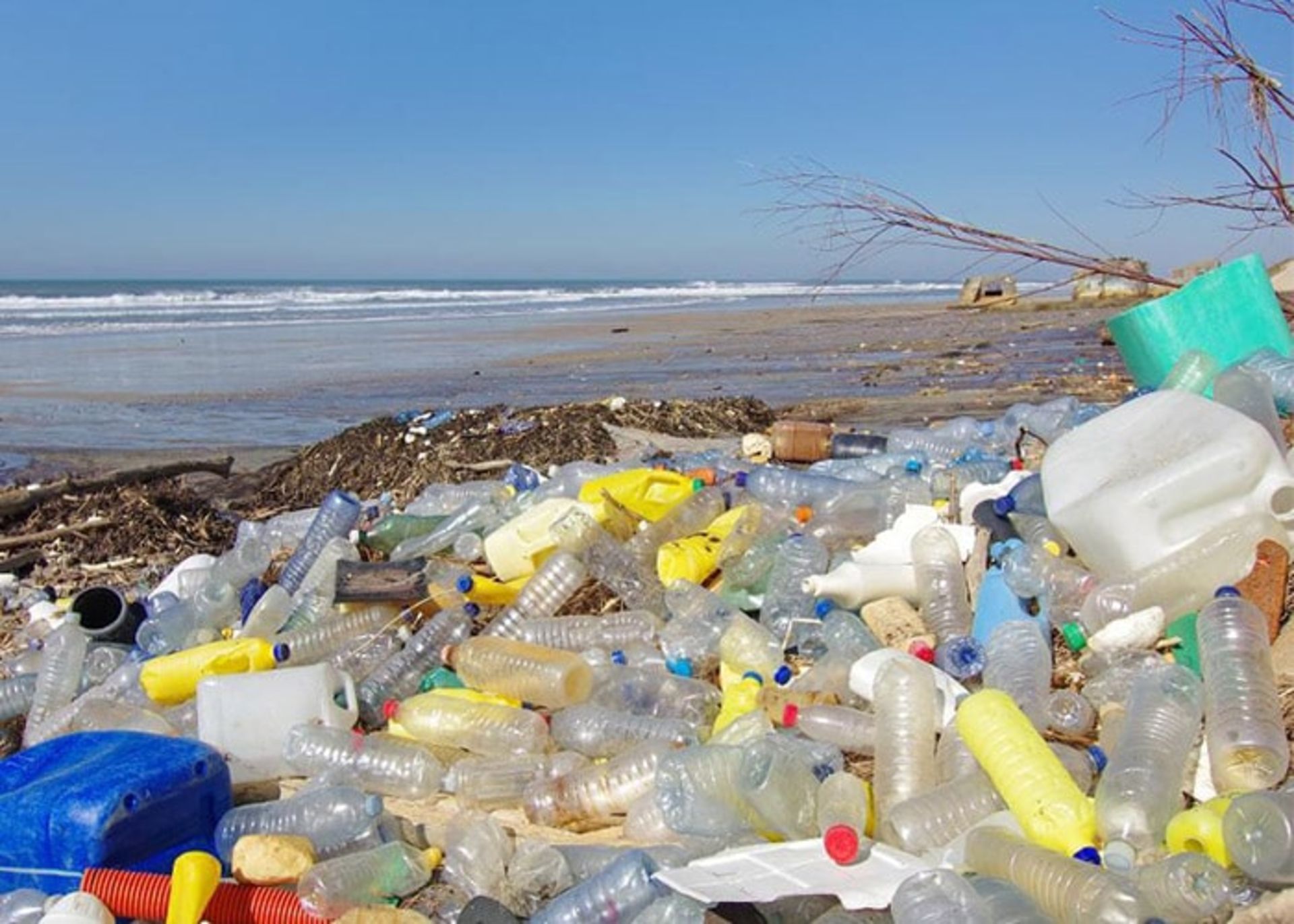 آلودگی اقیانوس ها