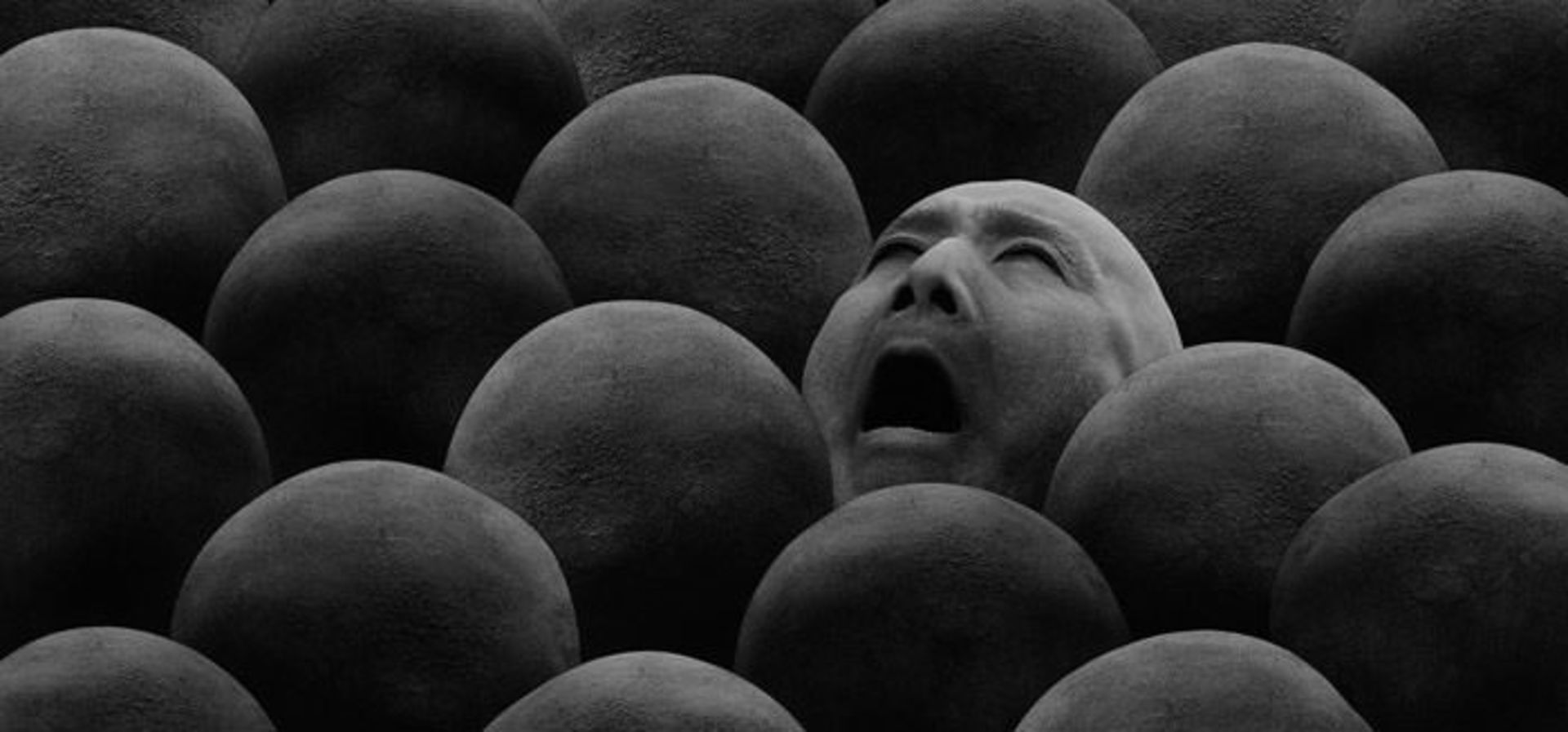 مواجهه با واقعیت / facing reality