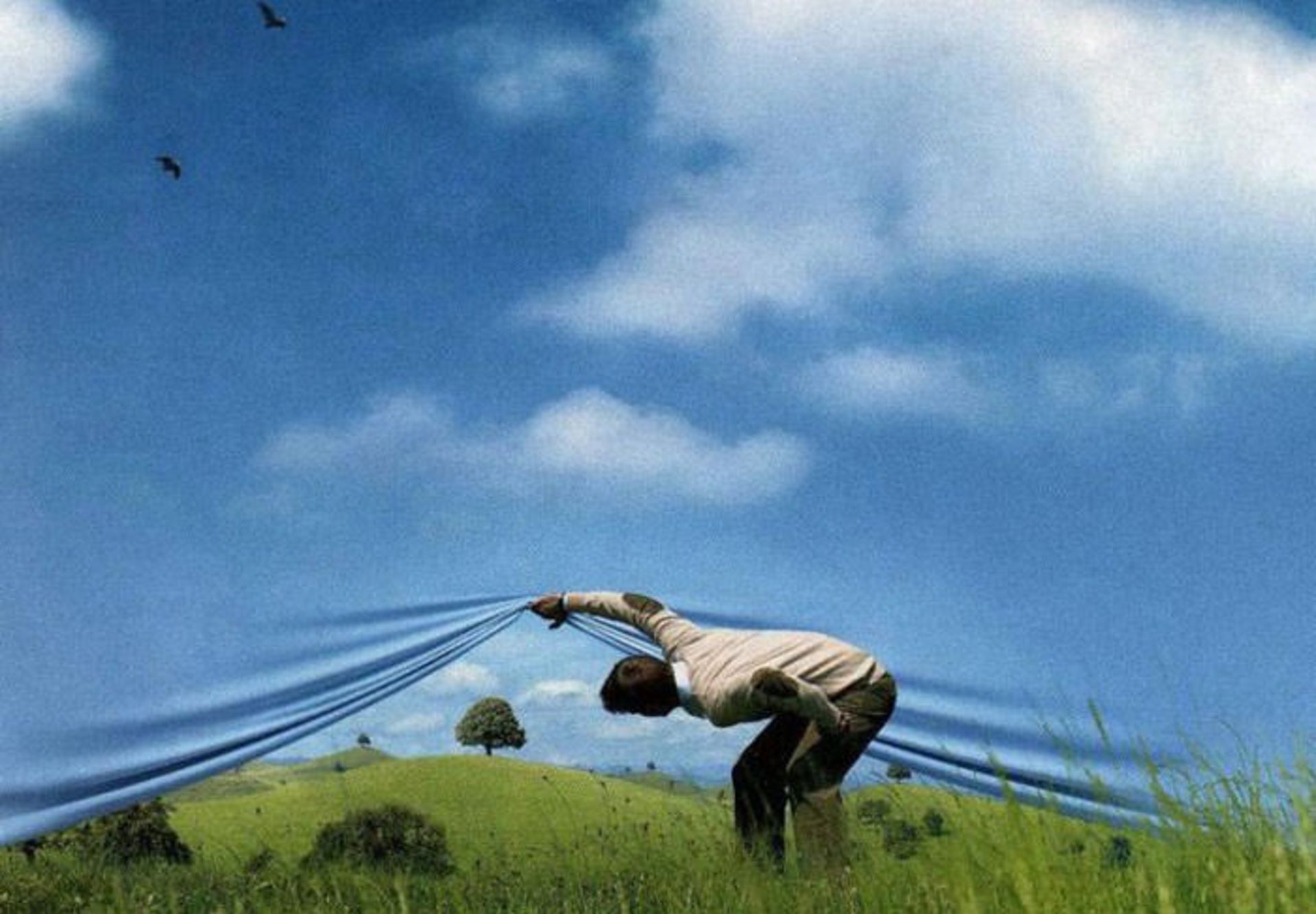 مواجهه با واقعیت / facing reality