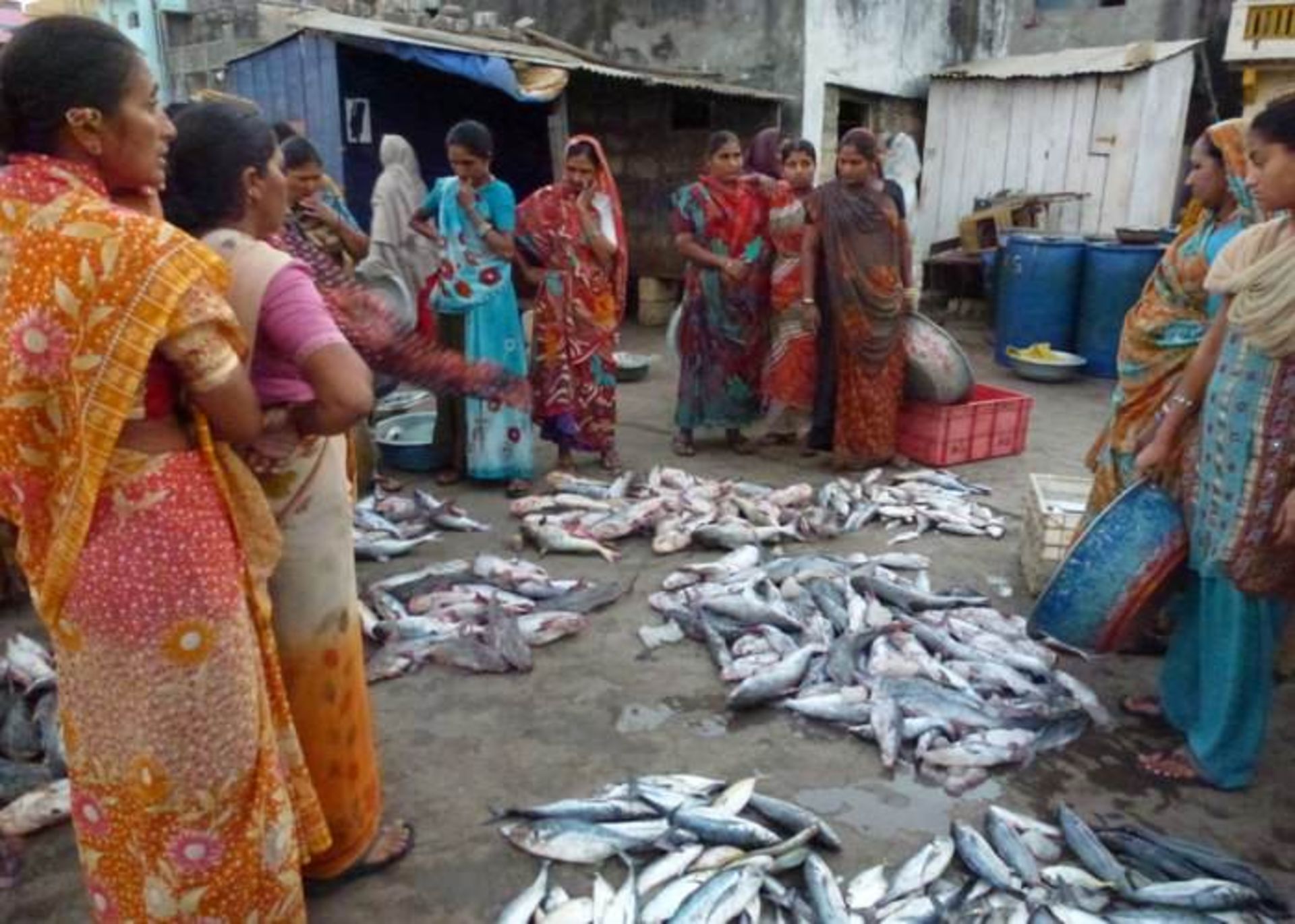 بازار محلی ماهی فروشان