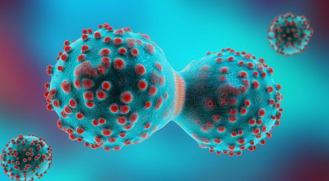 سلول سرطانی / cancer cell