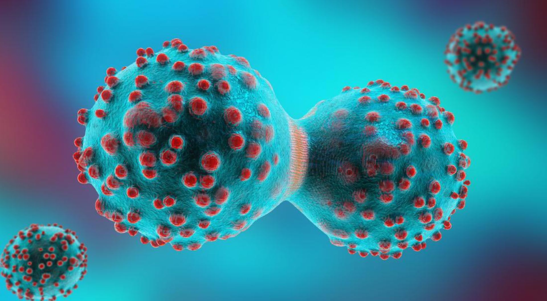 سلول سرطانی / cancer cell