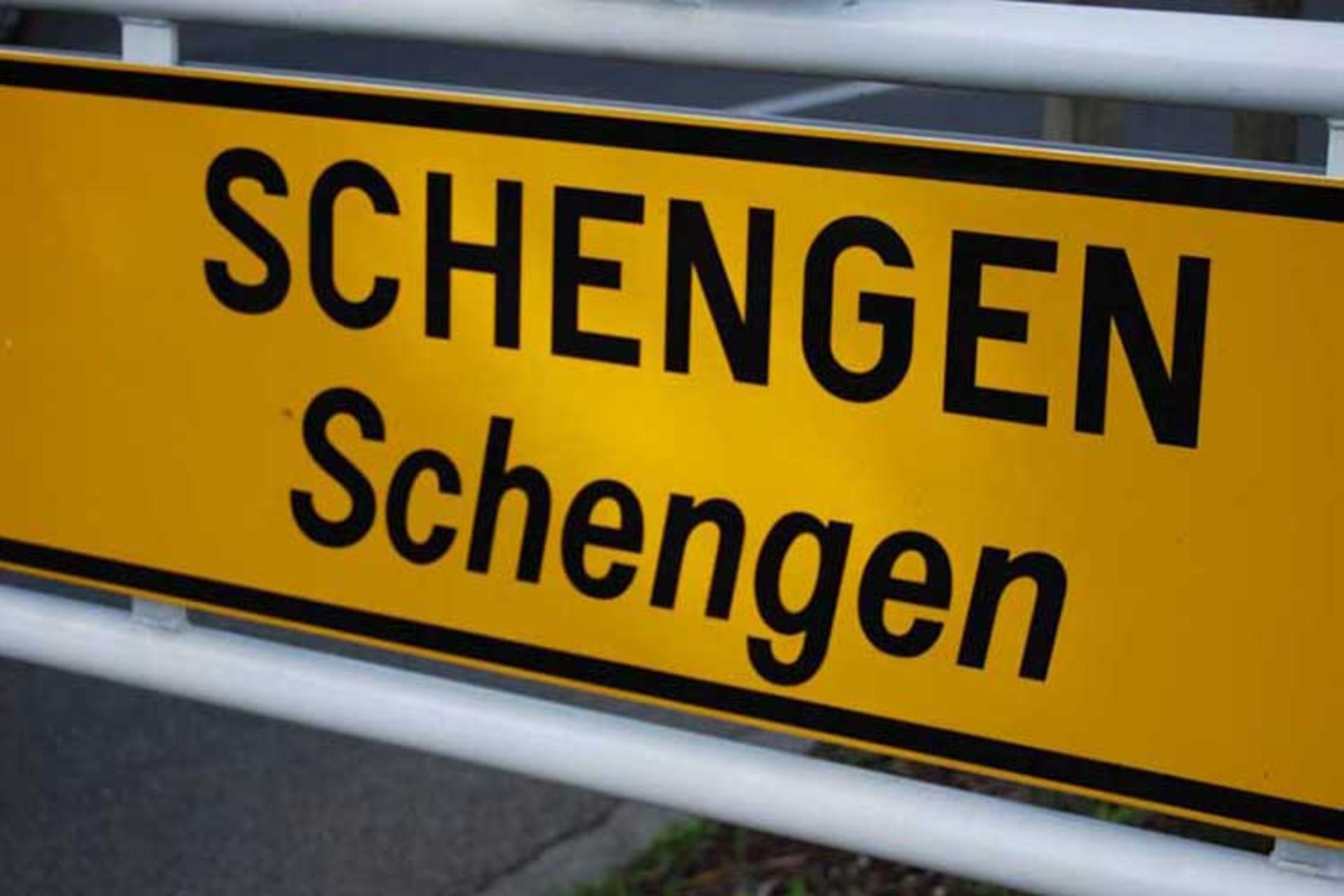 پیمان شینگن