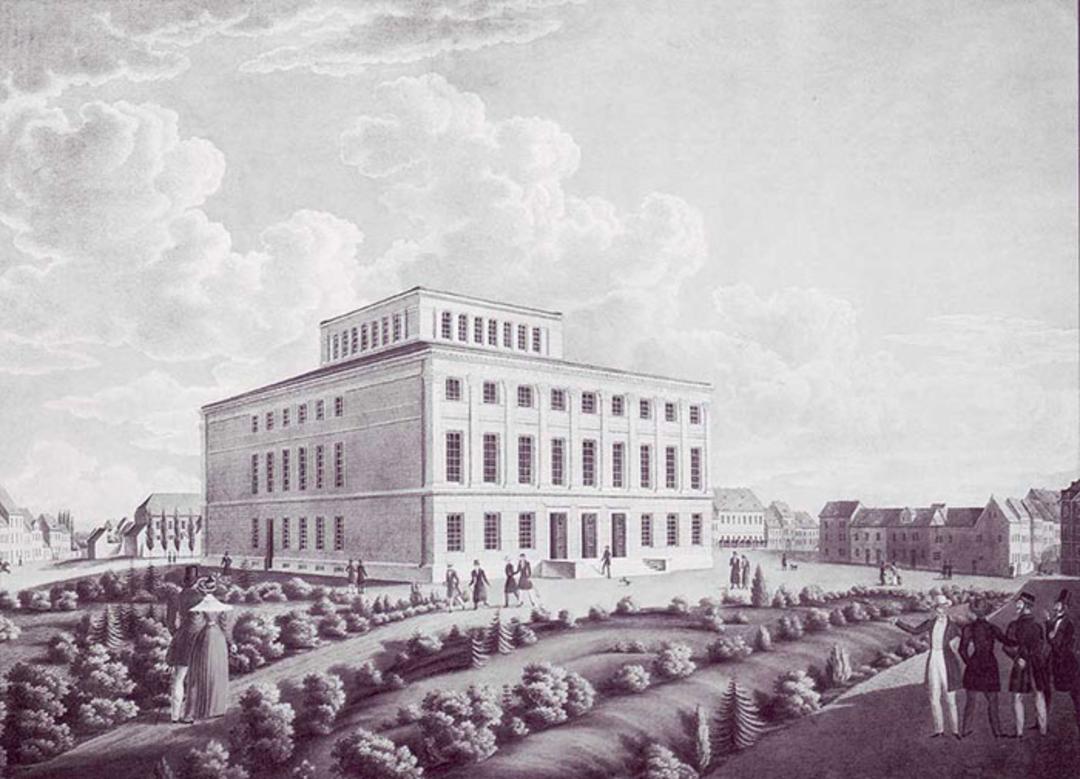 دانشگاه Halle