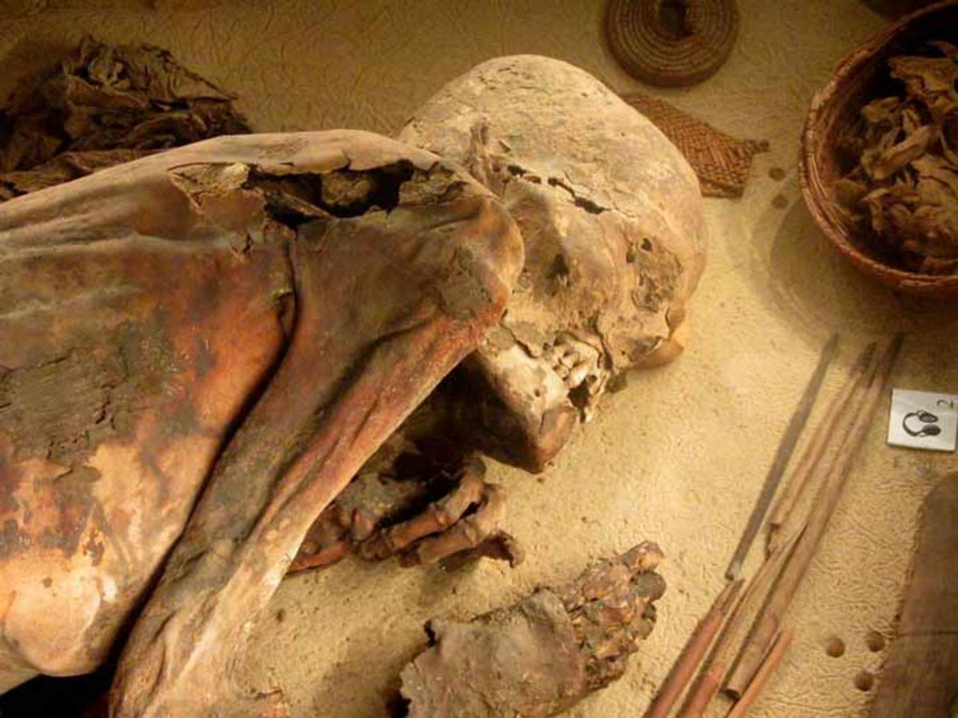 مرجع متخصصين ايران يك موميايي ۵۶۰۰ ساله، راز قديمي‌ترين دستورالعمل‌ موميايي مصريان را آشكار كرد