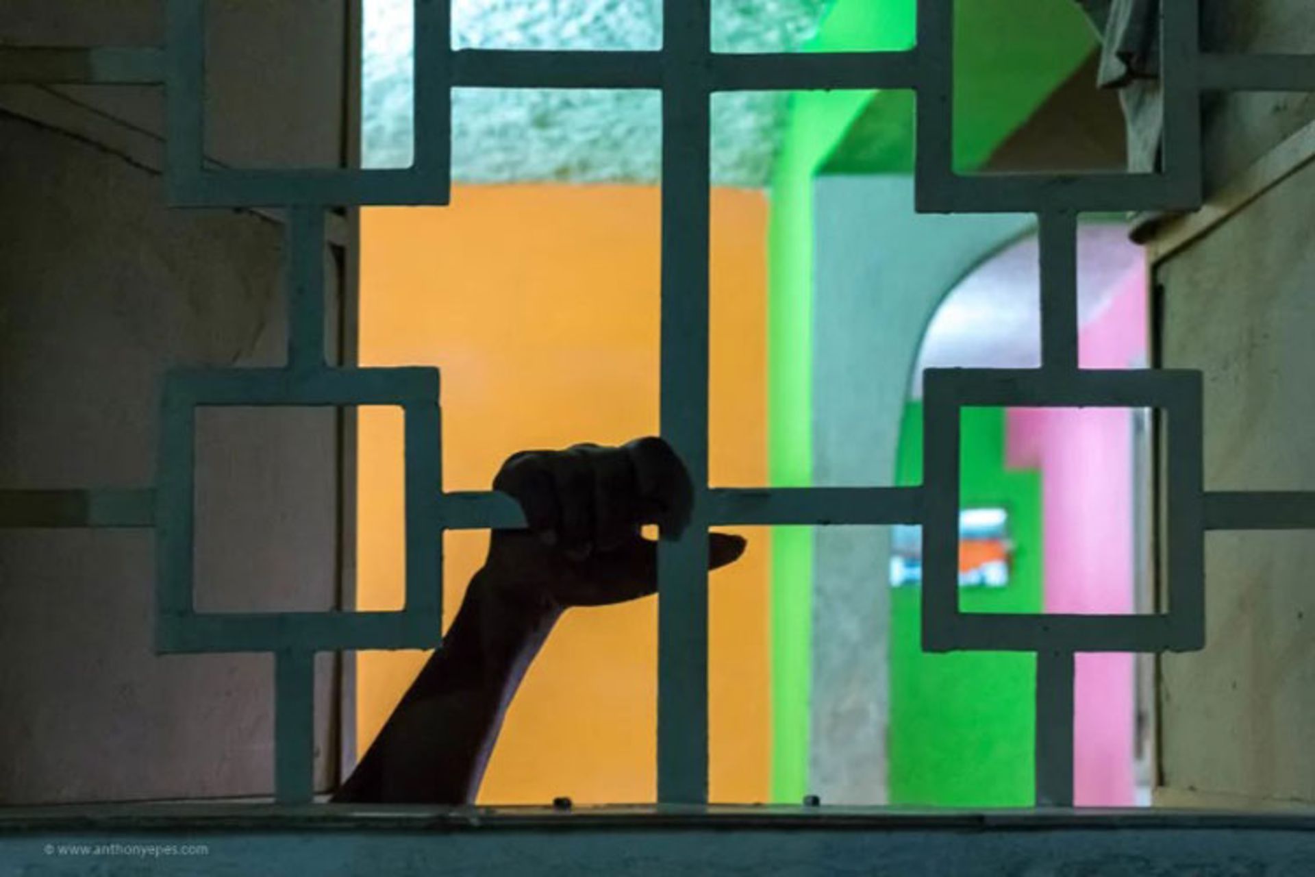 آموزش عکاسی / photography tips