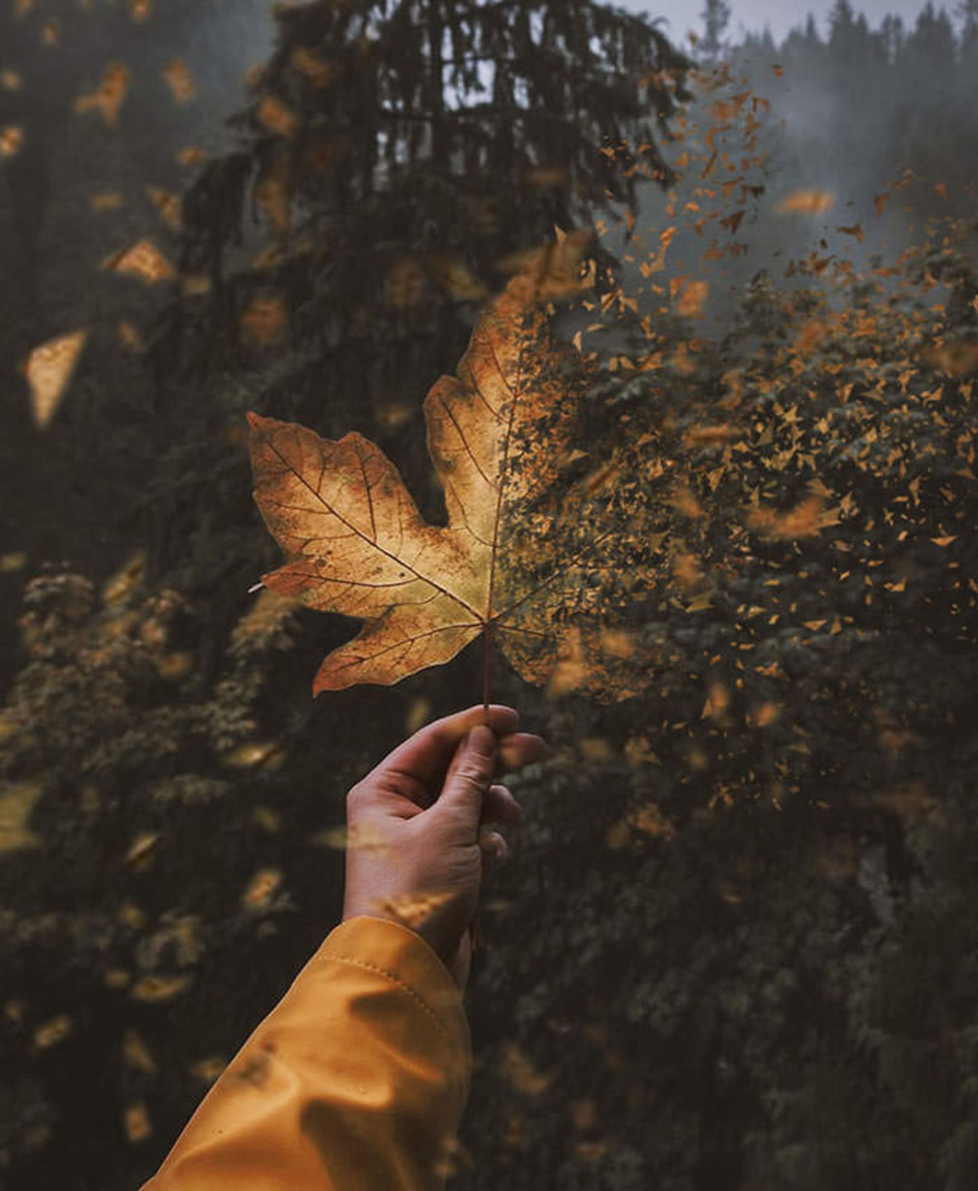 تصاویر خیال انگیز مرات آکیول، عکاس جوان ترک