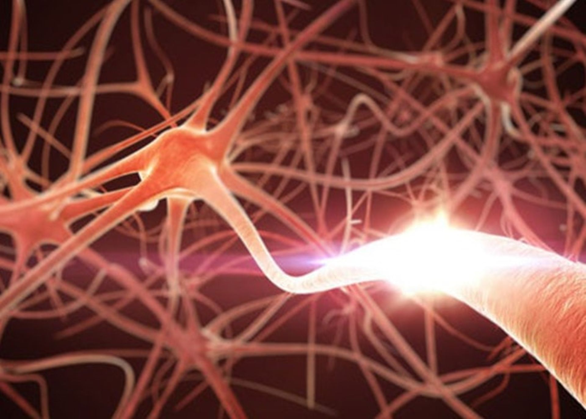 ارتباطات مغزی