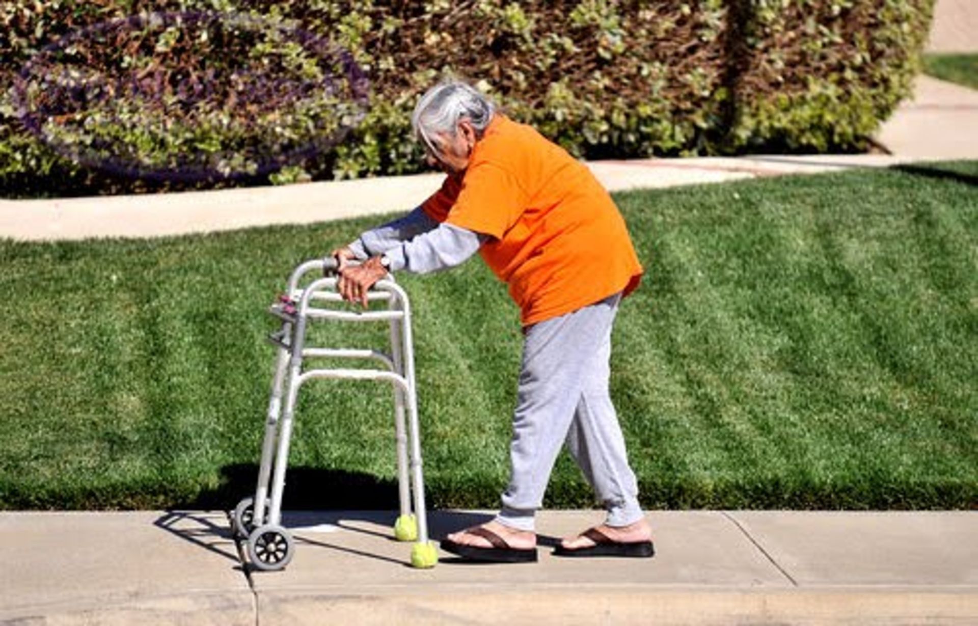 سالمند واکر