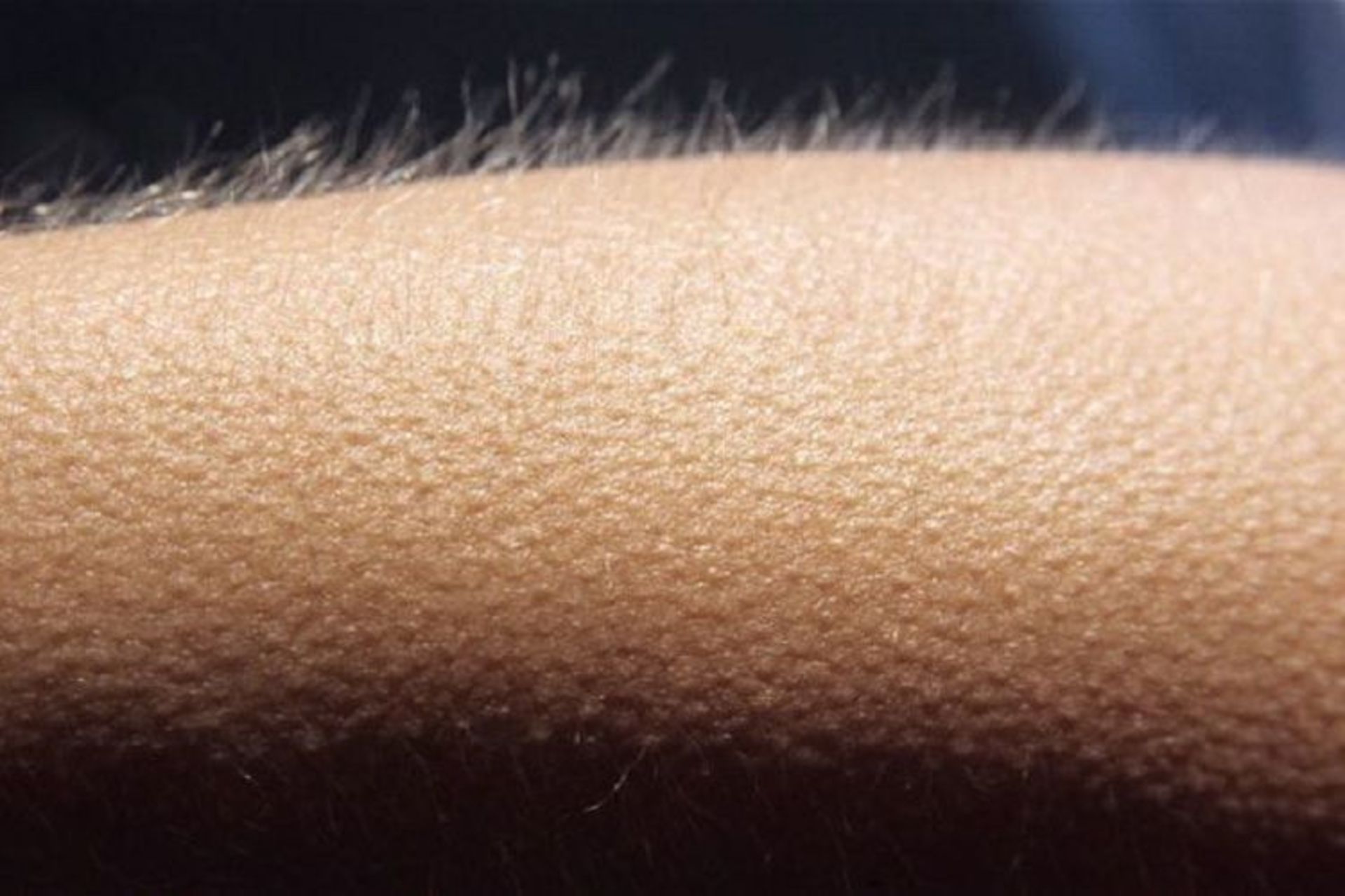 راست کننده مو