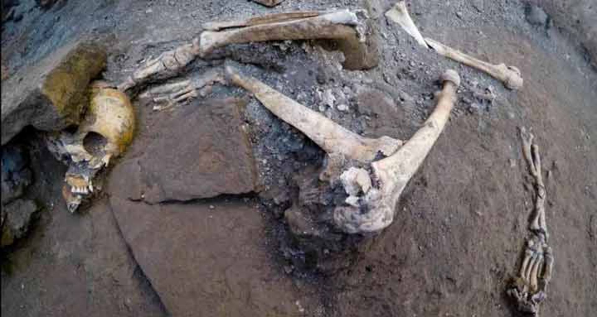 کشف اسکلت‌های خانواده‌ای در پناهگاهی در پمپئی