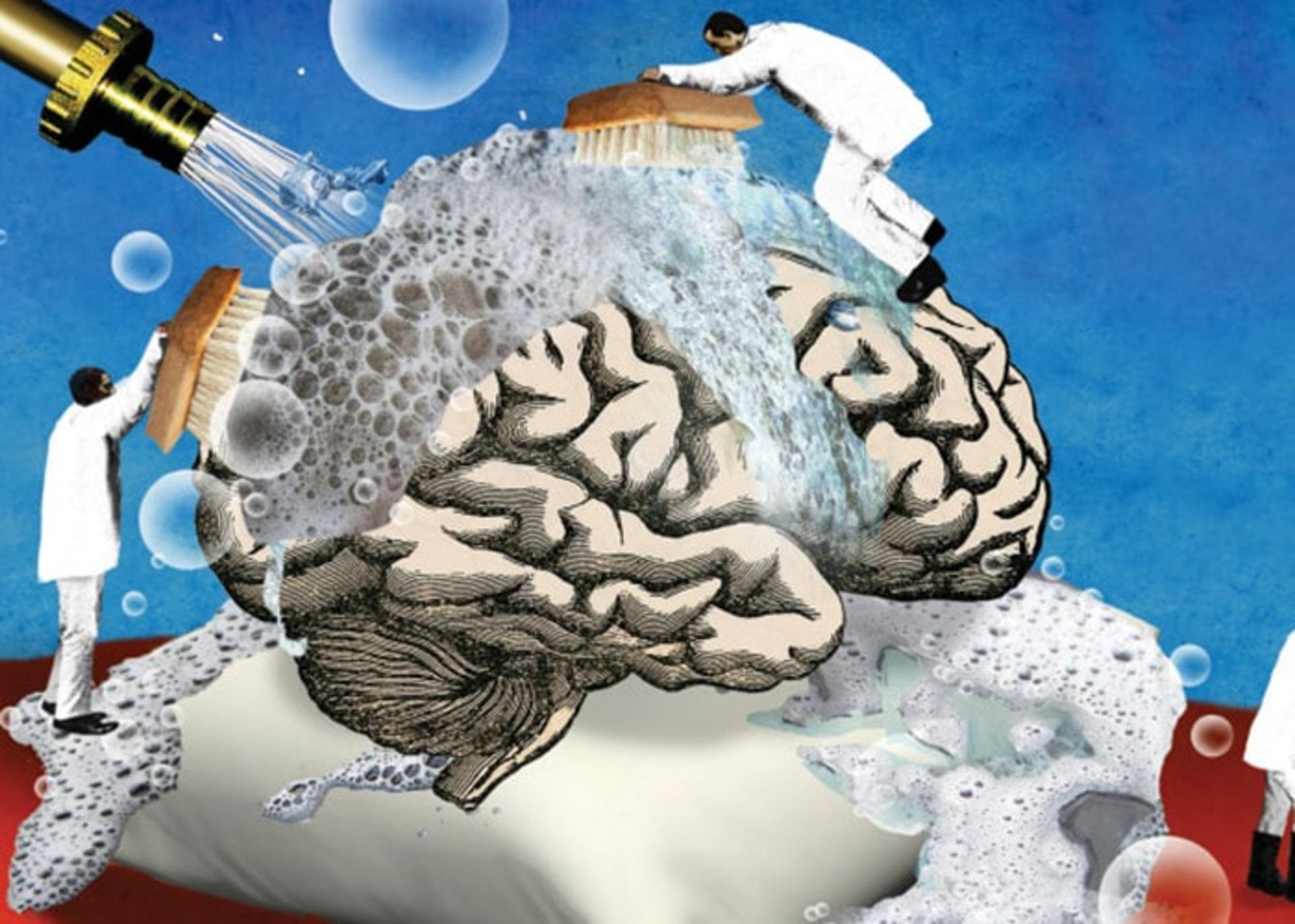 مغز حین خواب