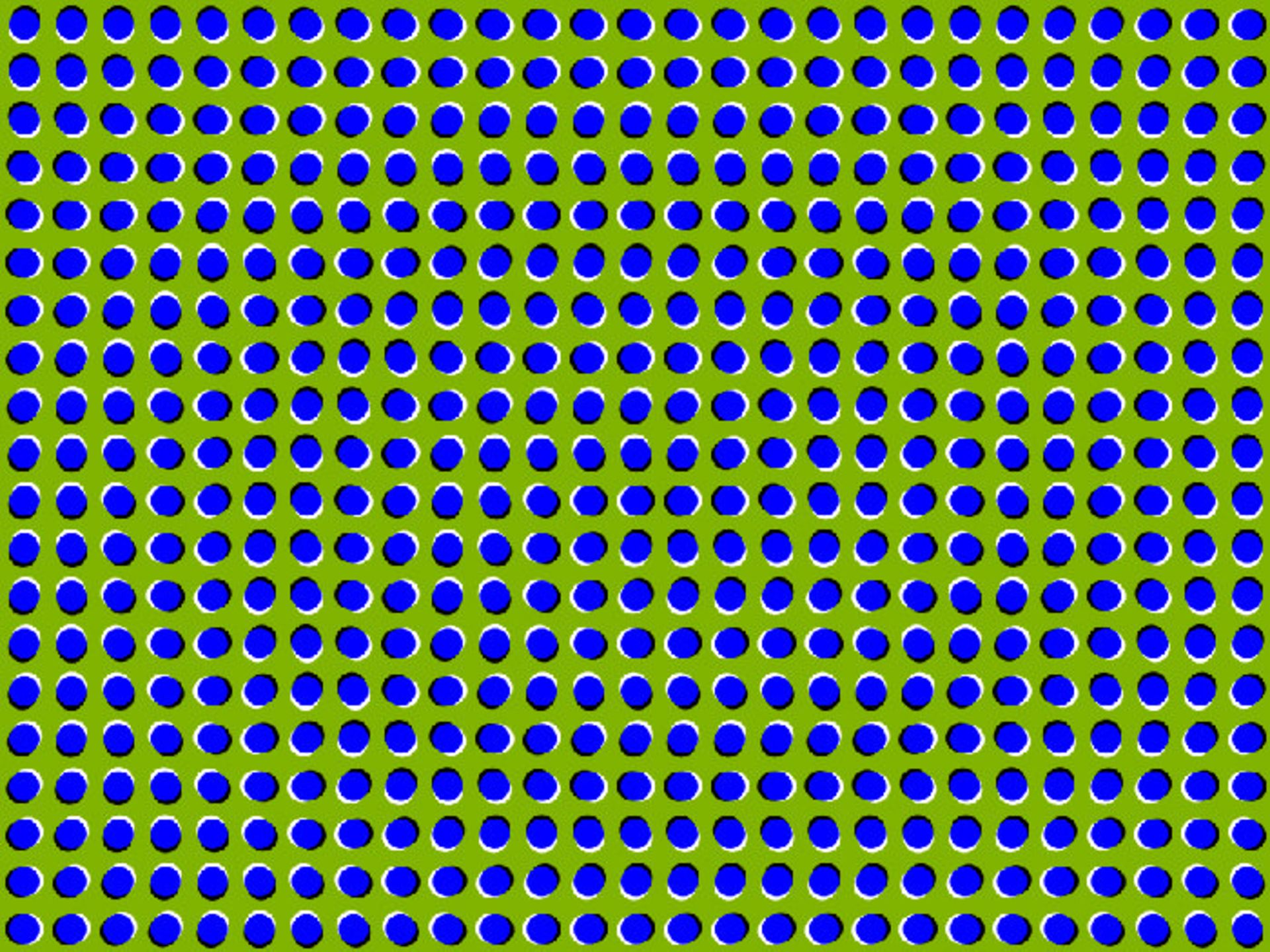 توهم بصری/ visual illusion