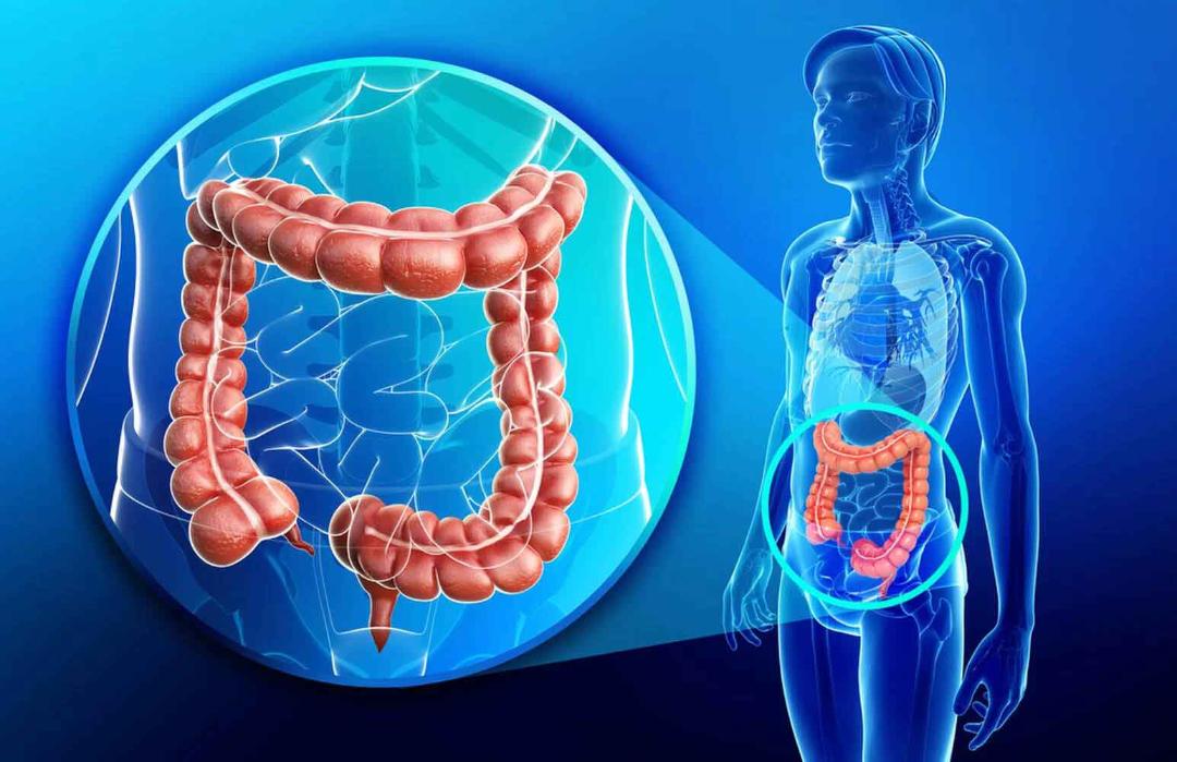 انواع سرطان / types of cancer