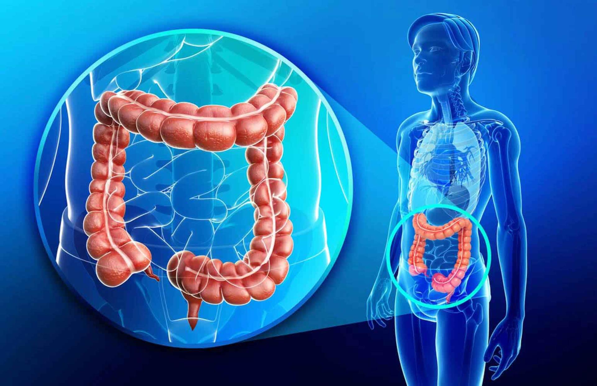 انواع سرطان / types of cancer
