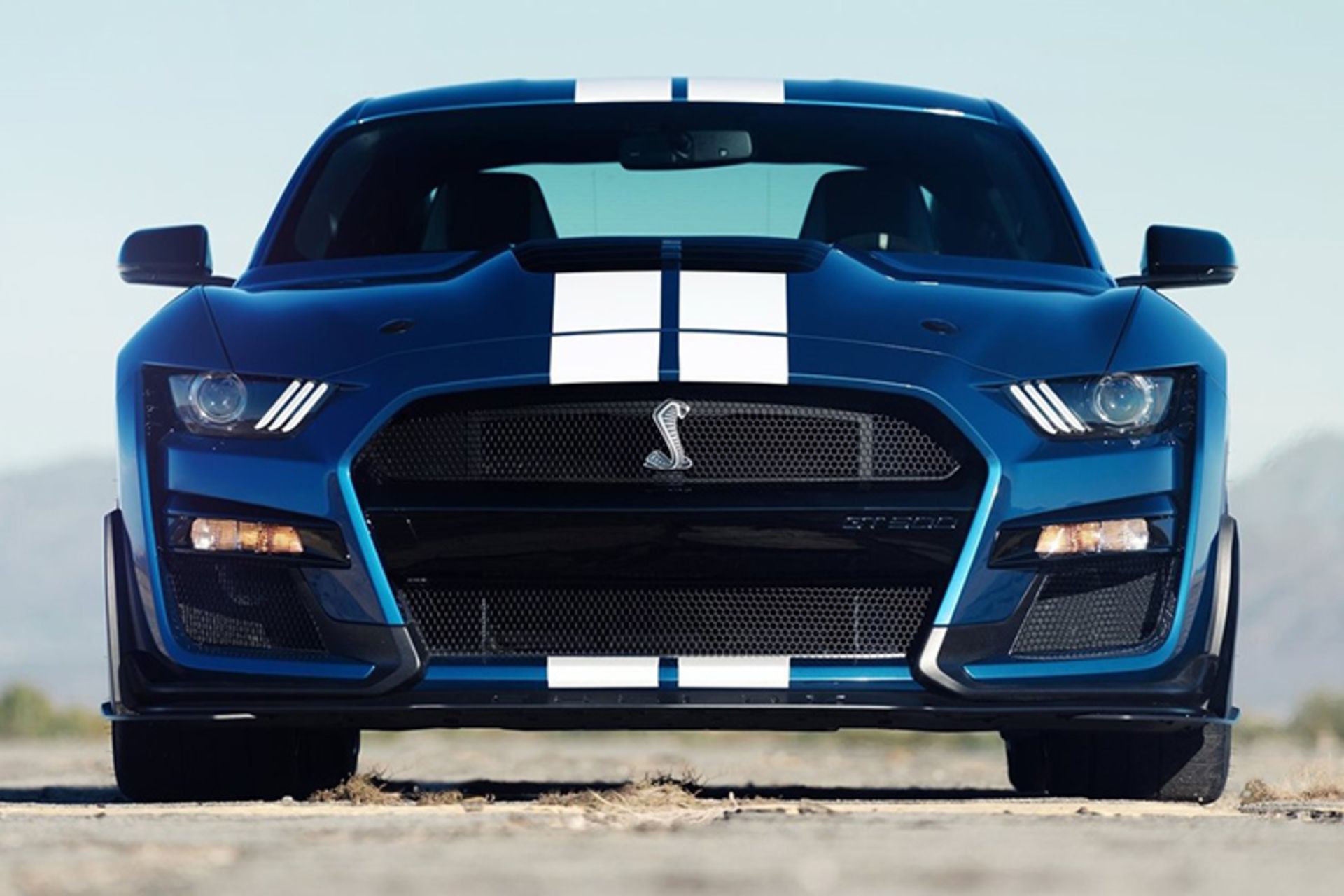 مرجع متخصصين ايران Ford Mustang Shelby GT500