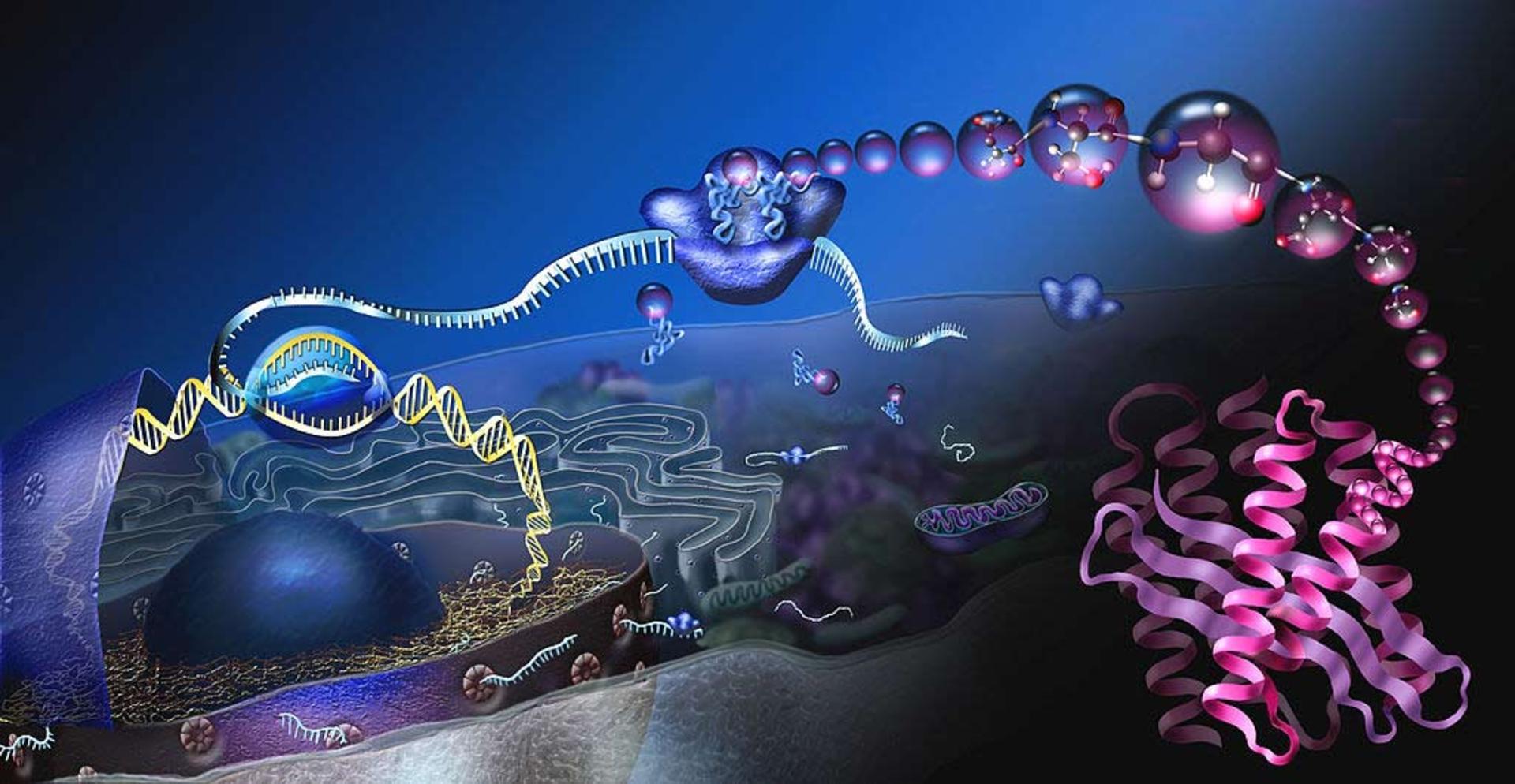 سلولی مولکولی / CELL molecular