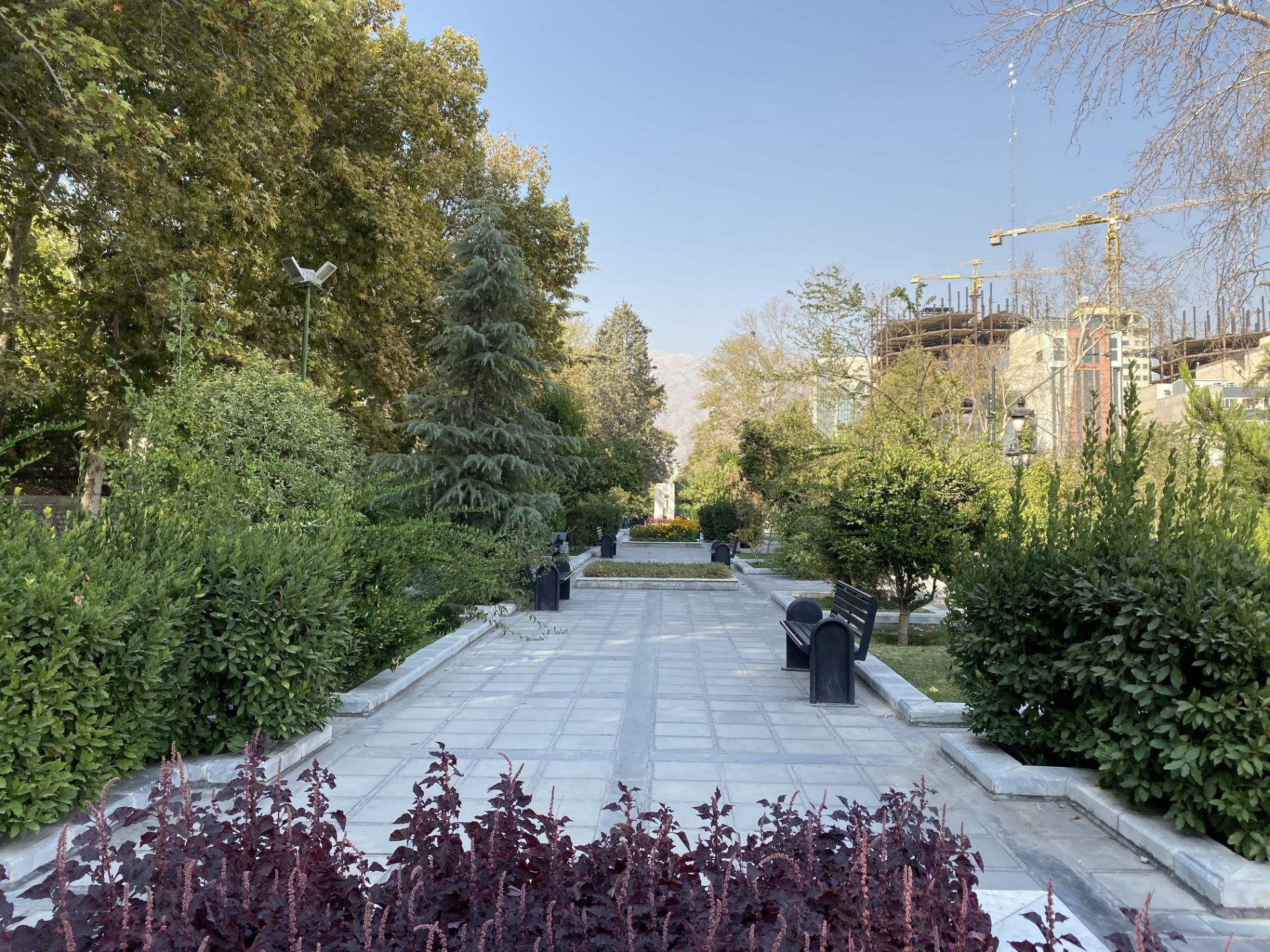 iPhone 11 Pro Camera Samples Day