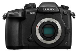 Panasonic Lumix DC-GH5 / پاناسونیک لومیکس
