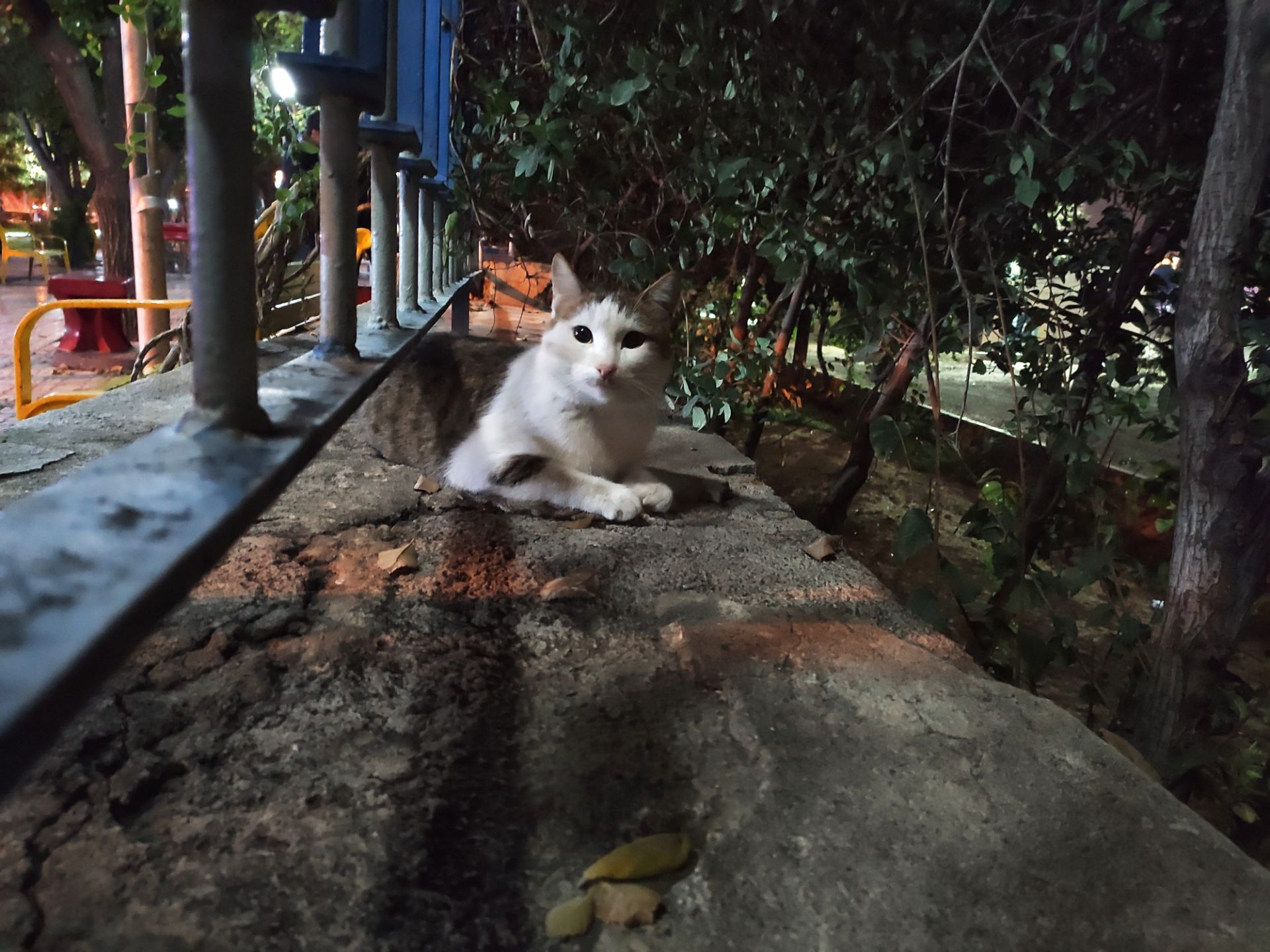 نمونه‌عکس‌های می 9 تی پرو