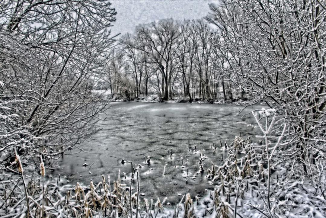 Surreal HDR