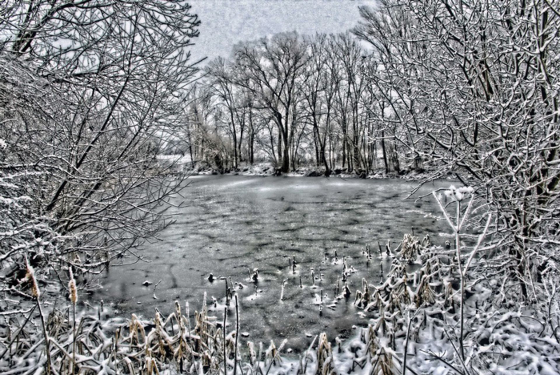 Surreal HDR