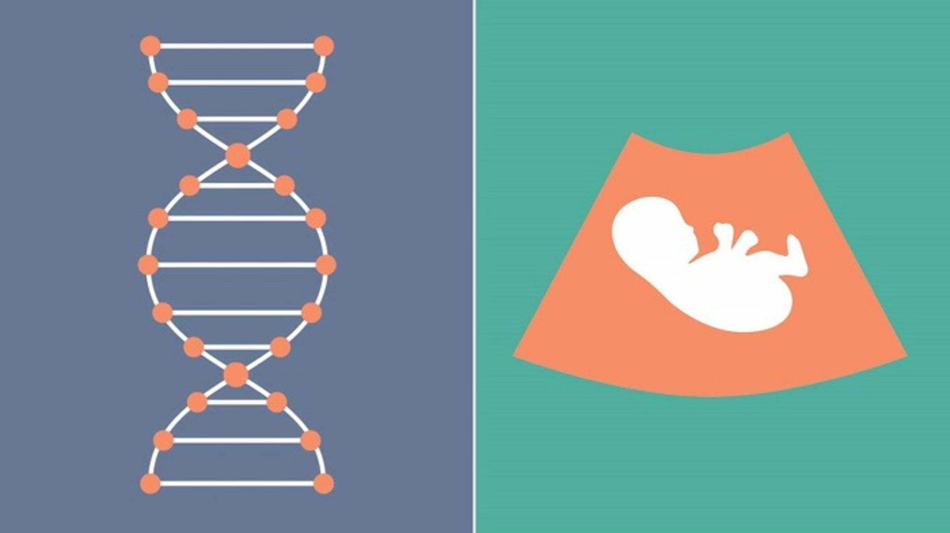 مرجع متخصصين ايران تشخيص قبل از تولد