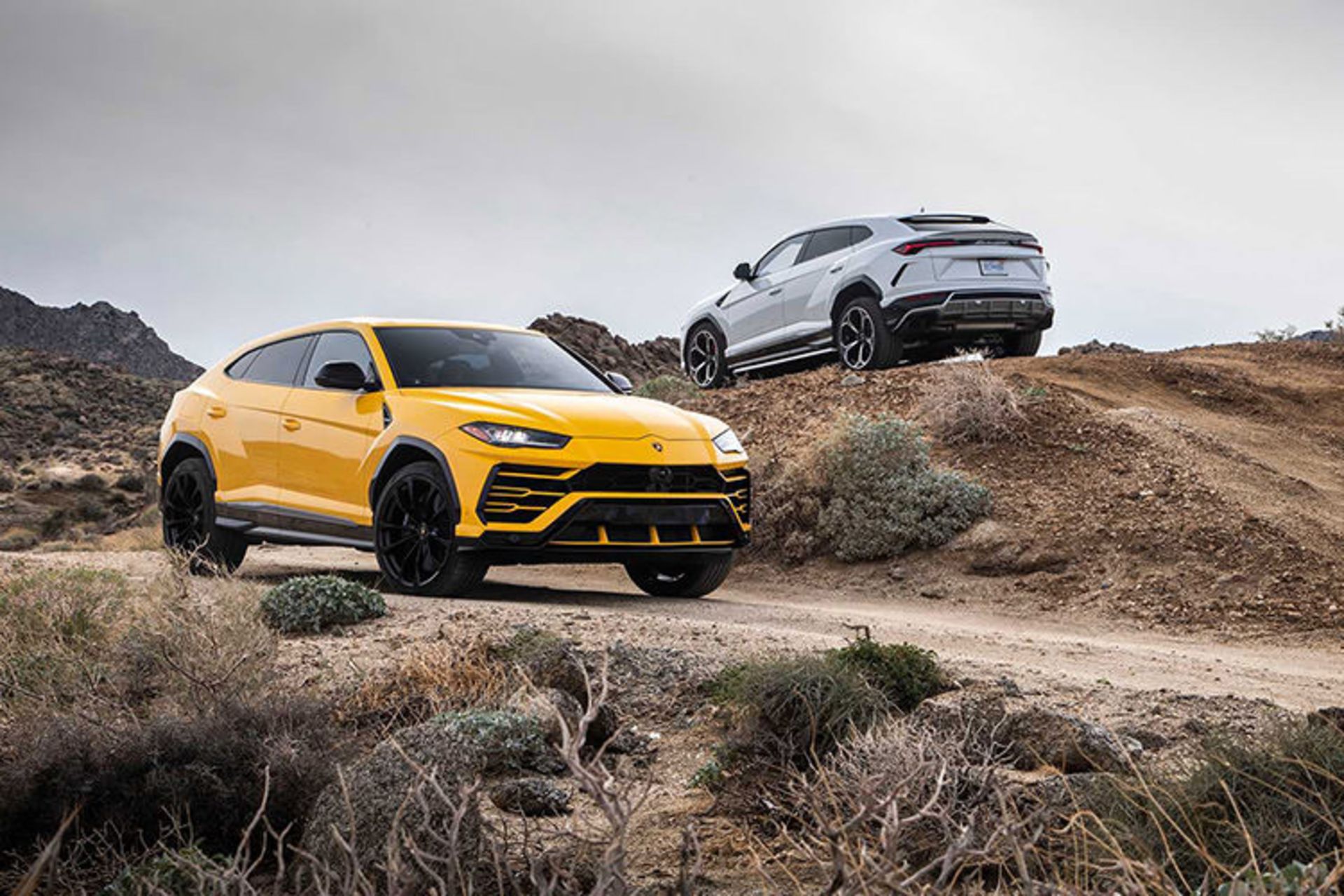 lamborghini / لامبورگینی