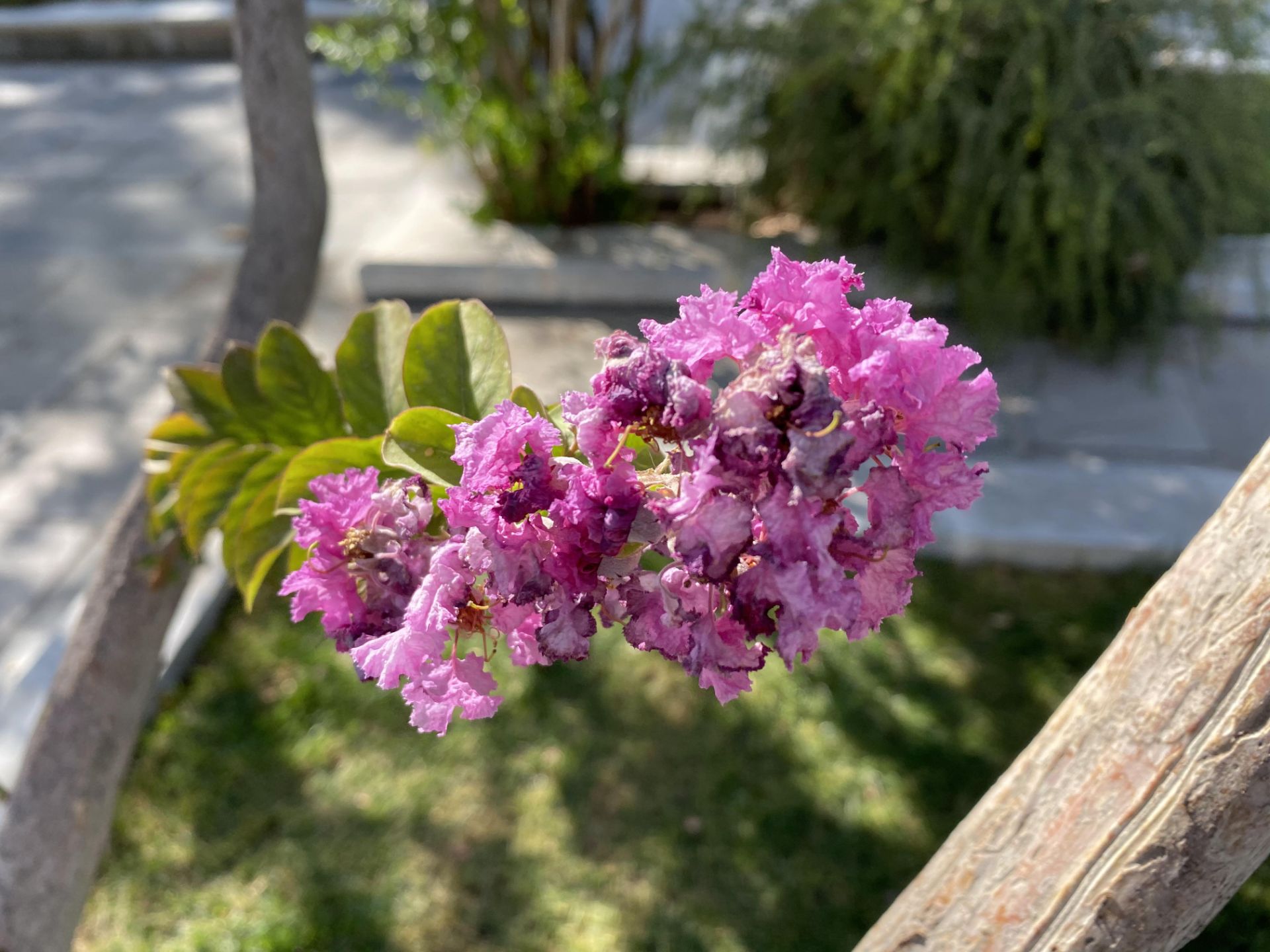 iPhone 11 Pro Camera Samples Day