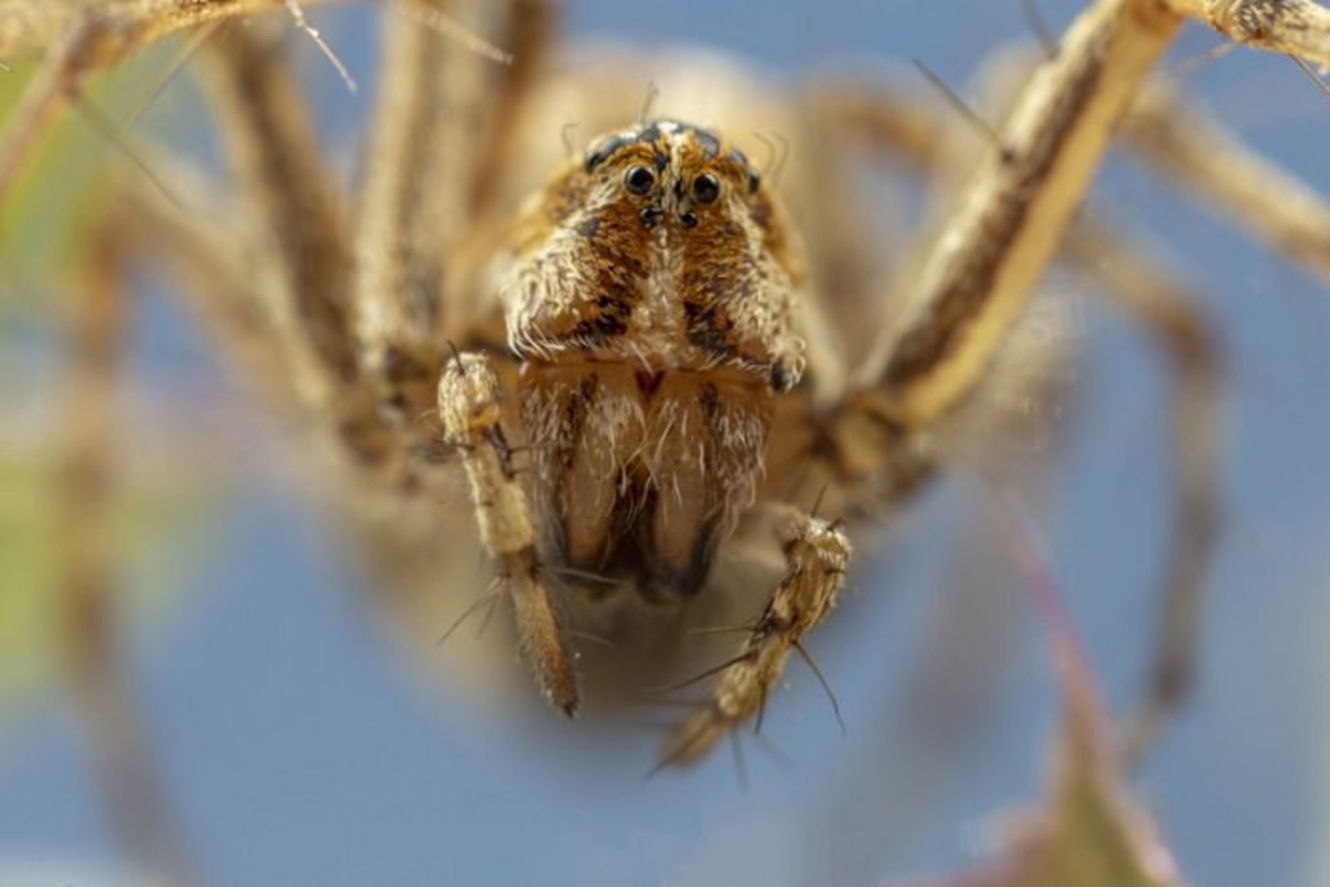 Matt doogue/nature photography/عکاسی طبیعت